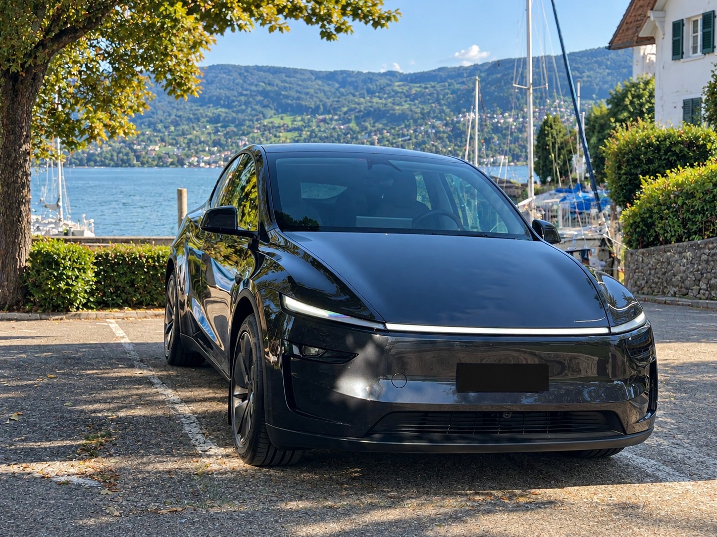 TESLA Long Range D