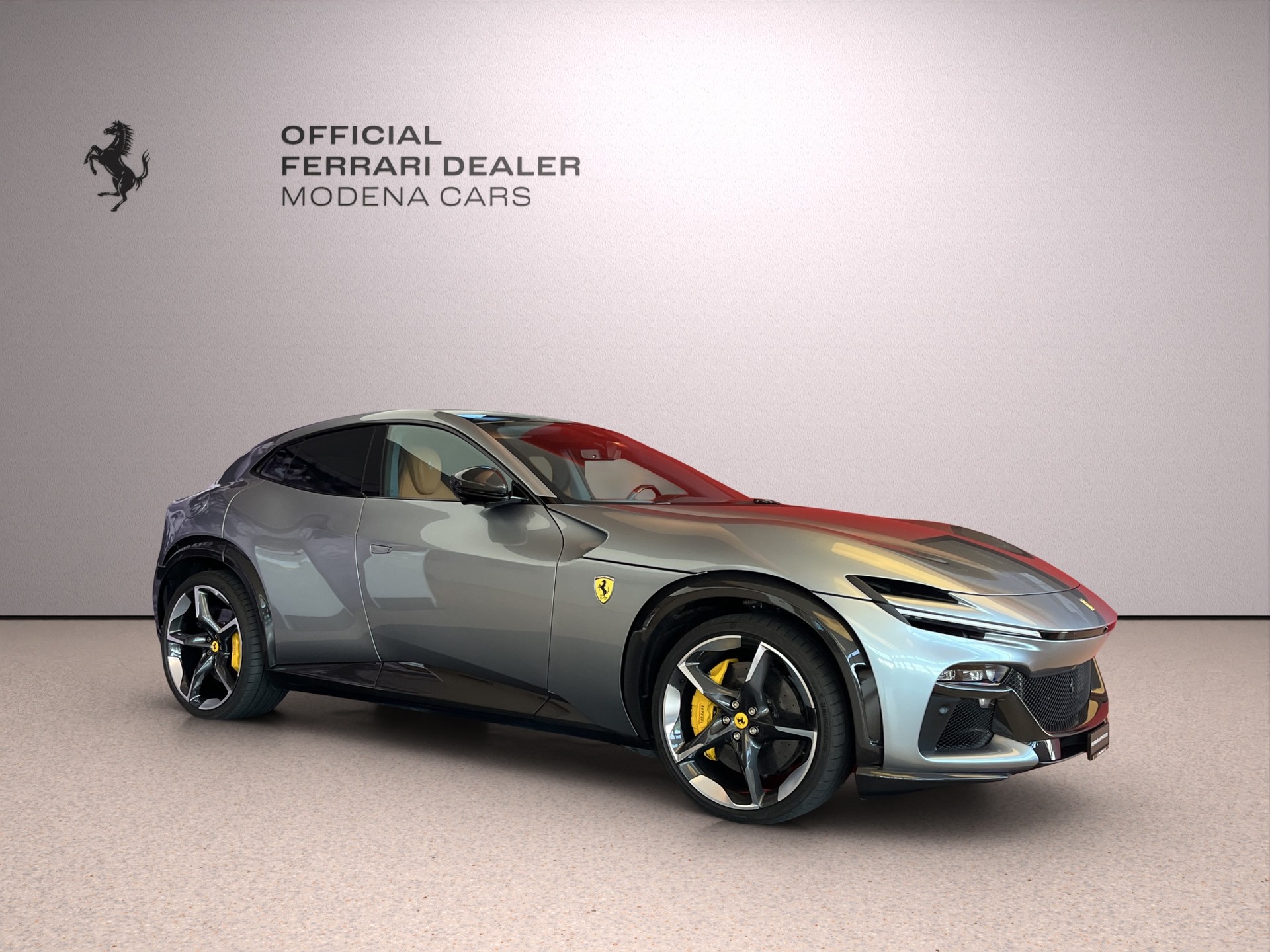 FERRARI PUROSANGUE-image-10