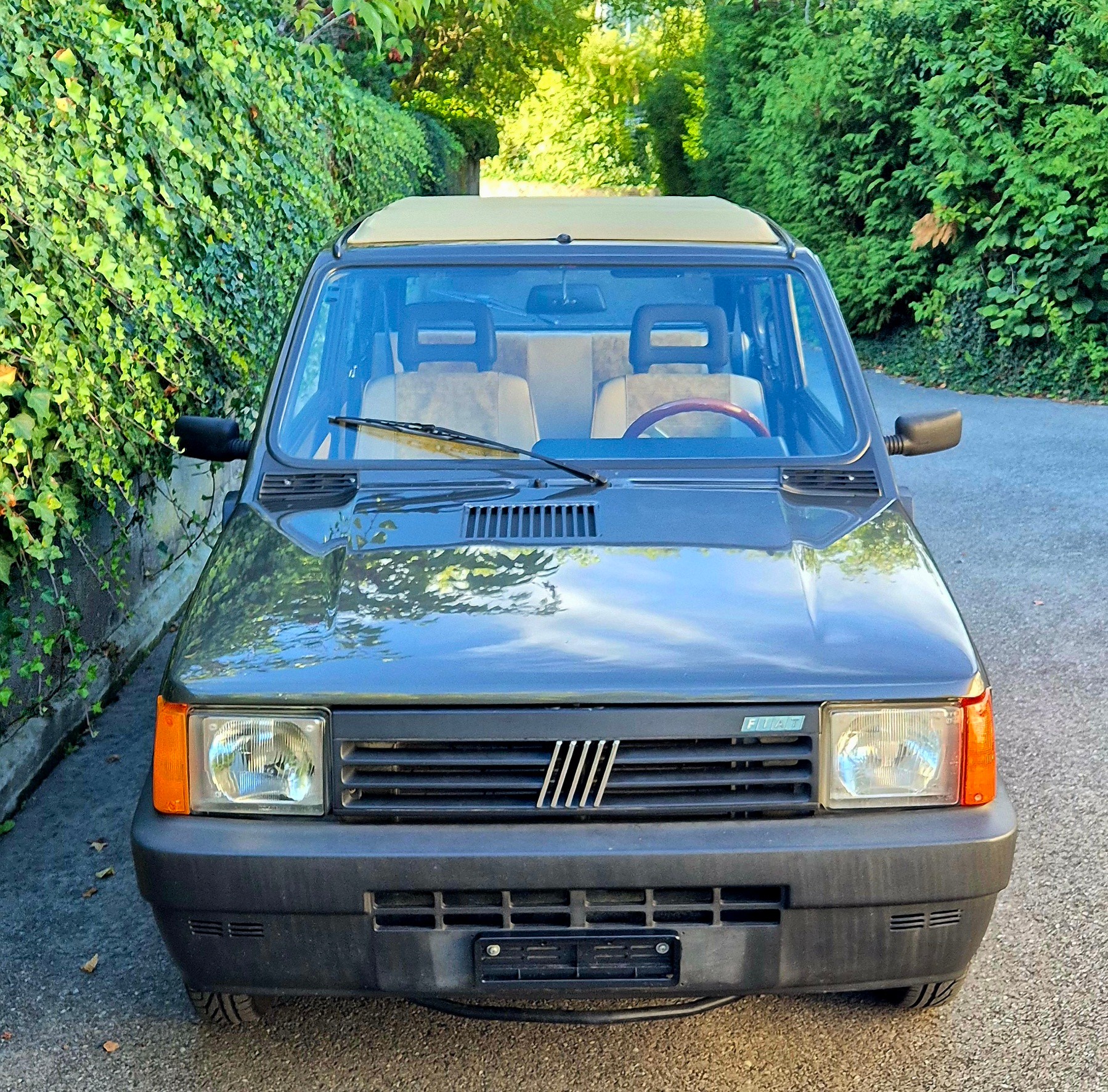 FIAT Panda 1000 L i.e. Cafe-image-12