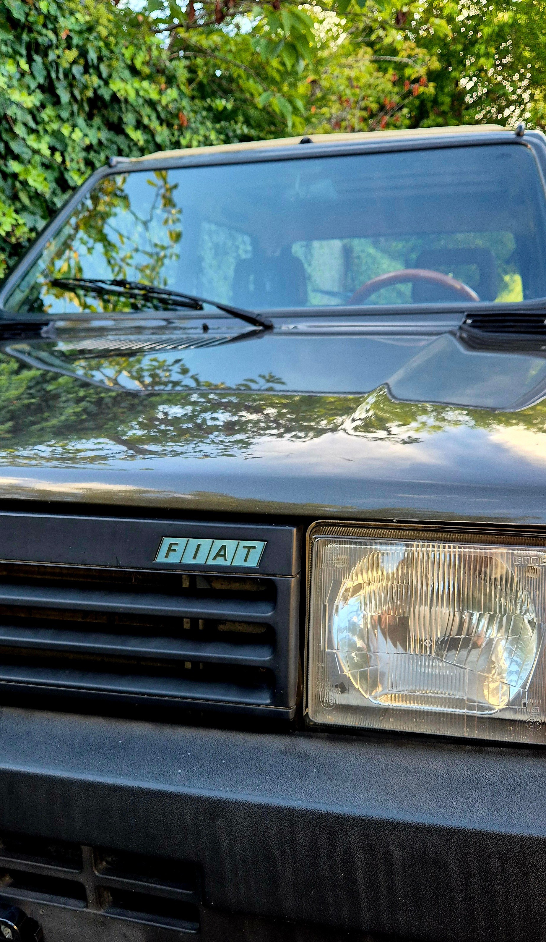 FIAT Panda 1000 L i.e. Cafe-image-14