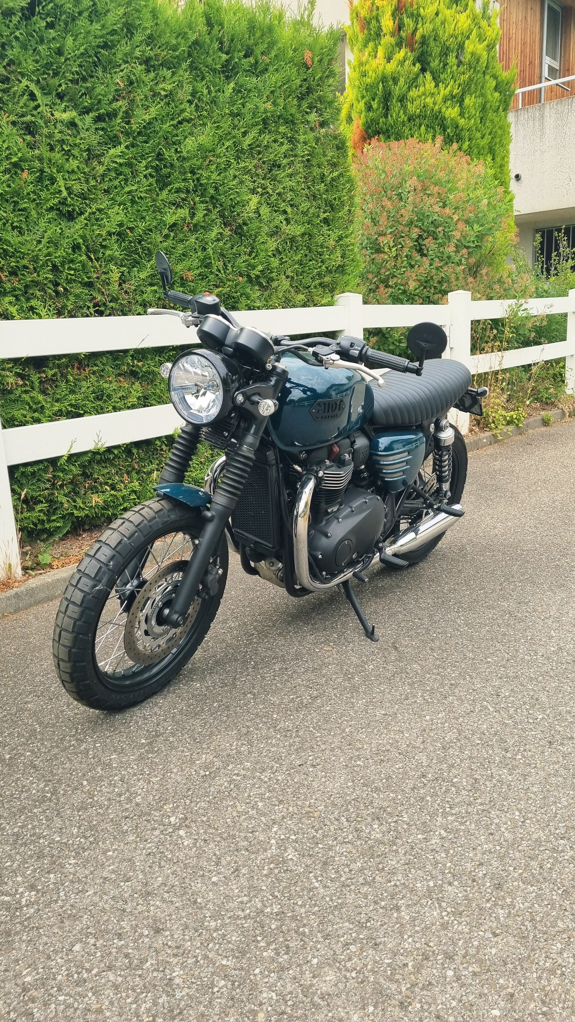 TRIUMPH Bonneville 900 T 100 ABS-image-2