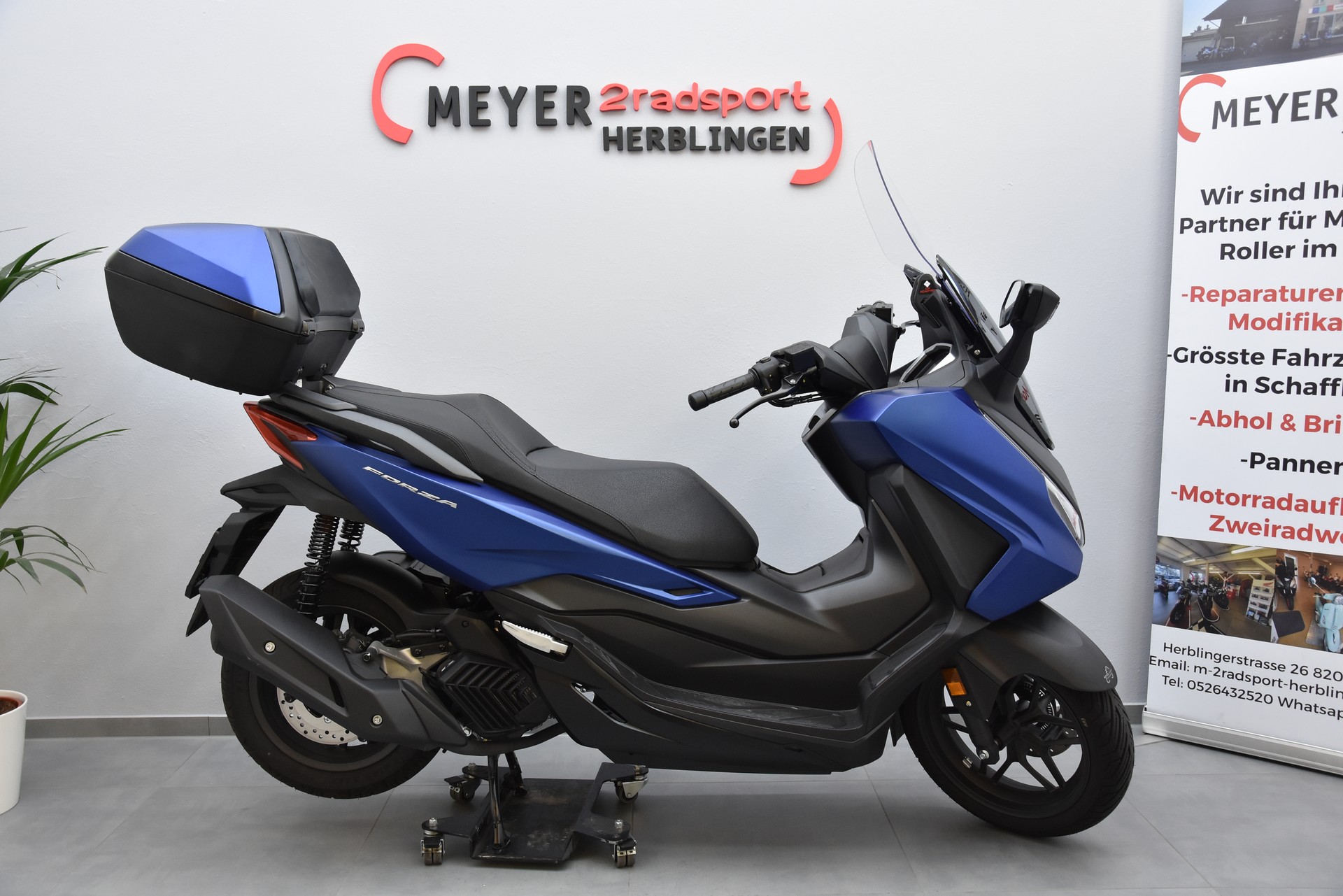 HONDA NSS 125 Forza-image-1