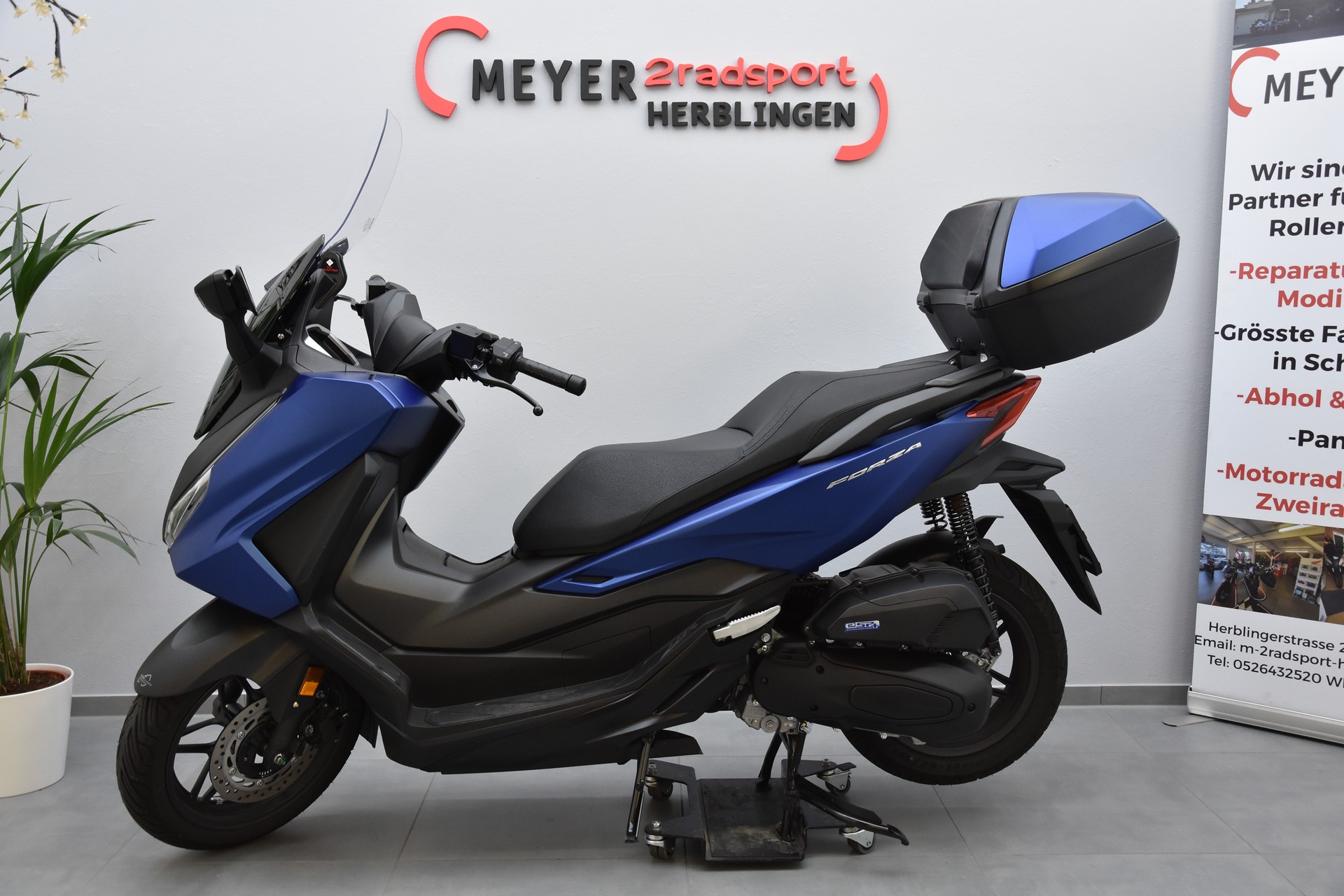HONDA NSS 125 Forza-image-6