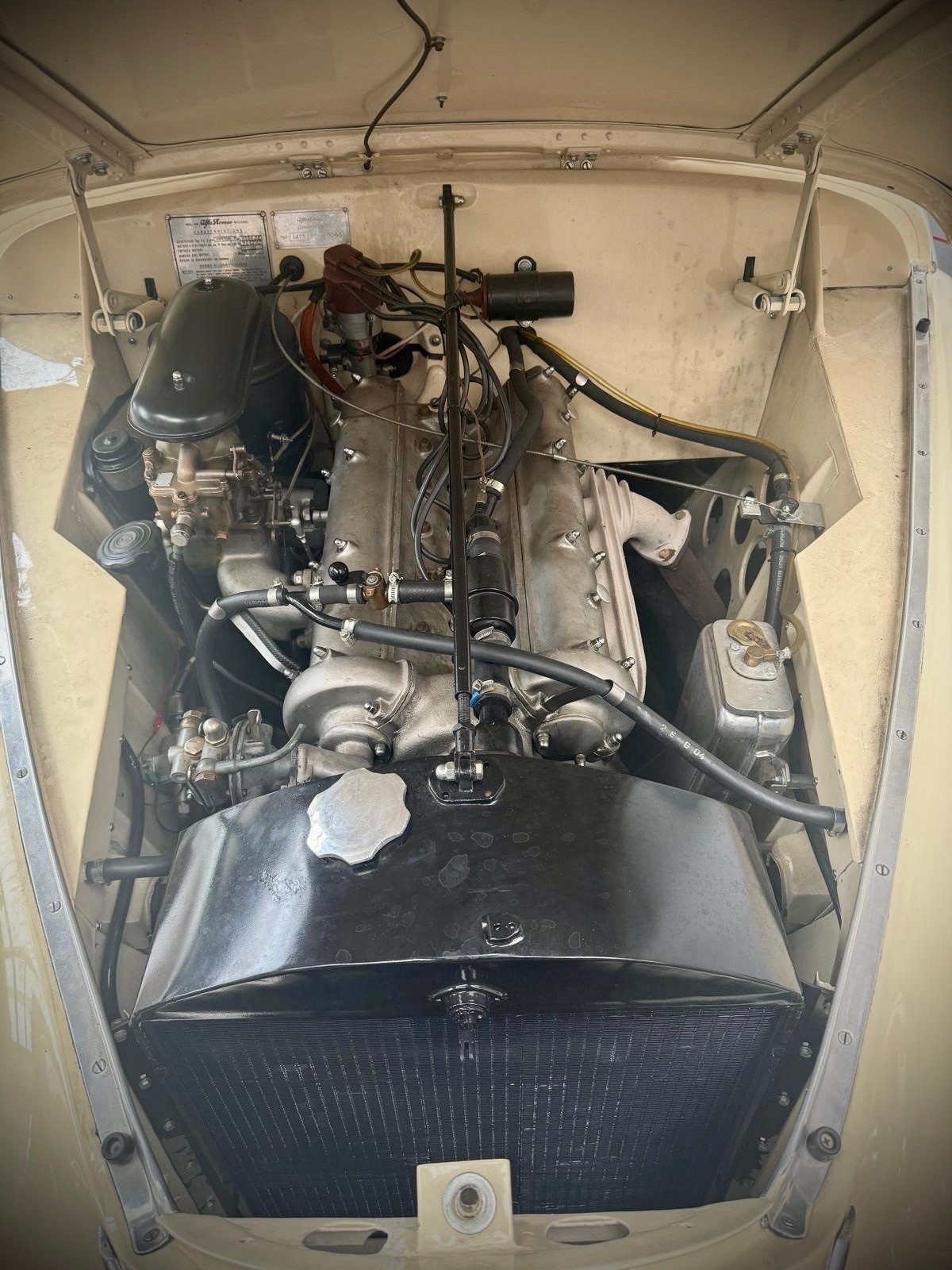 ALFA ROMEO 6C 2500 Freccia d'Oro - VETERAN-image-6