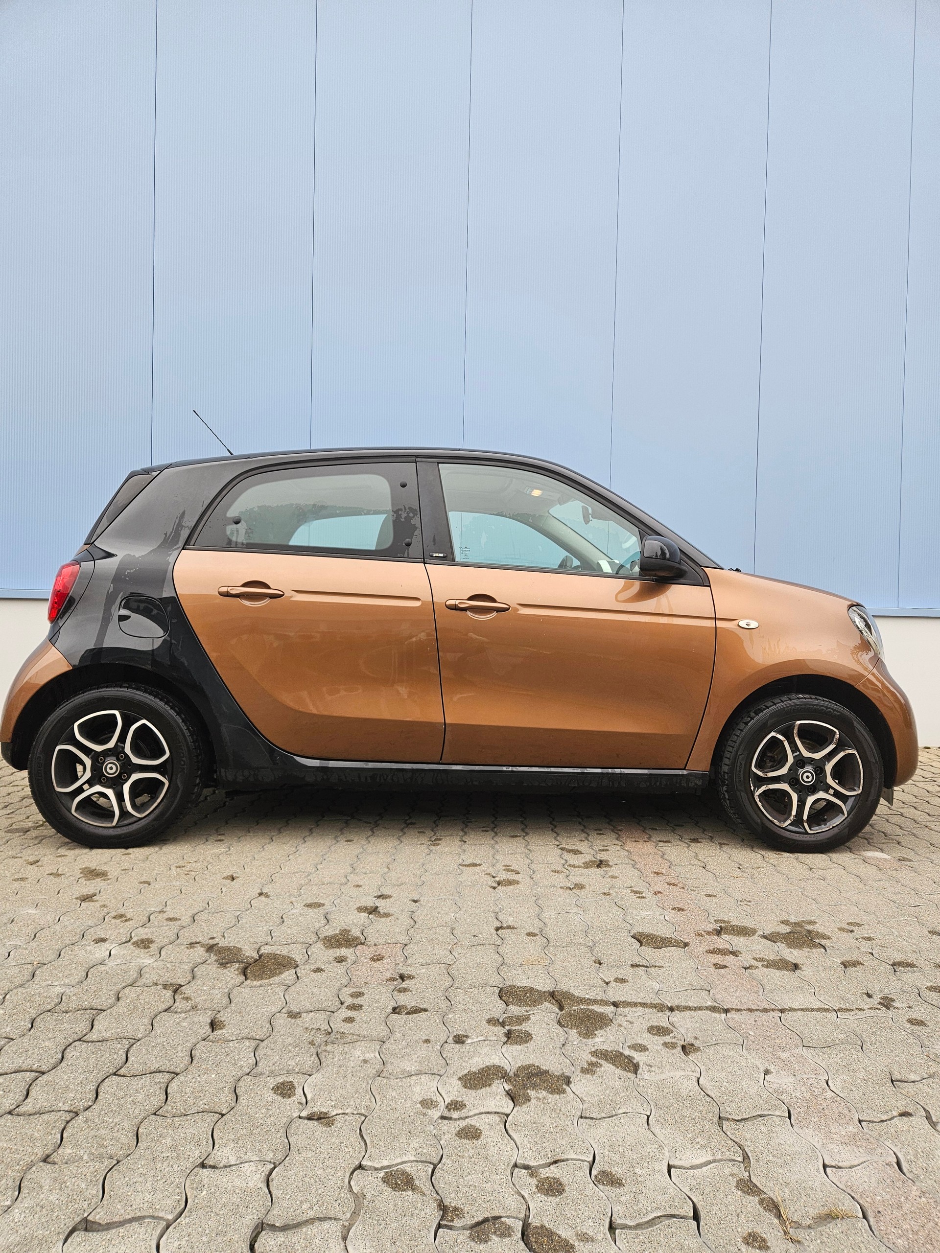SMART forfour prime-image-7
