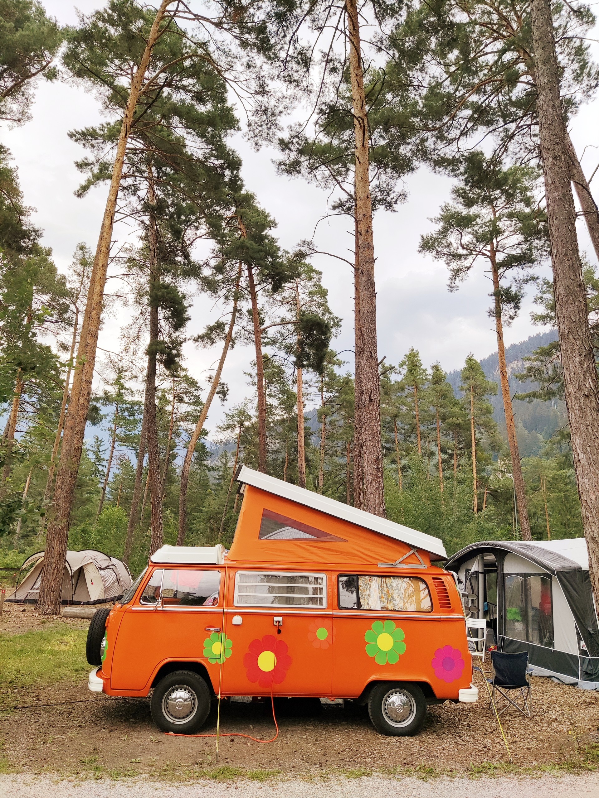 VW T2b mit Veteranenstatus-image-10