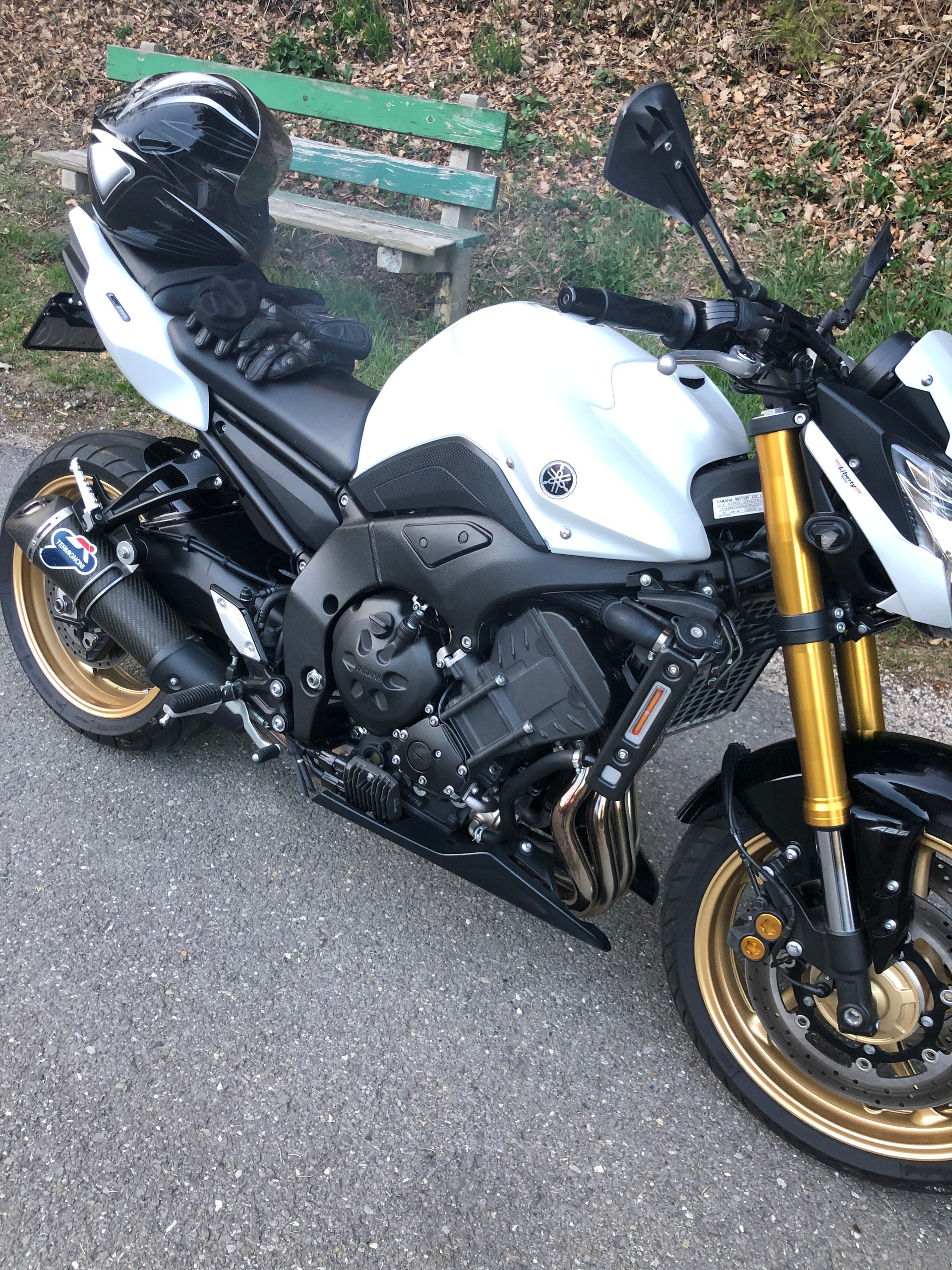 YAMAHA FZ8 N ABS Limited Edition-image-0