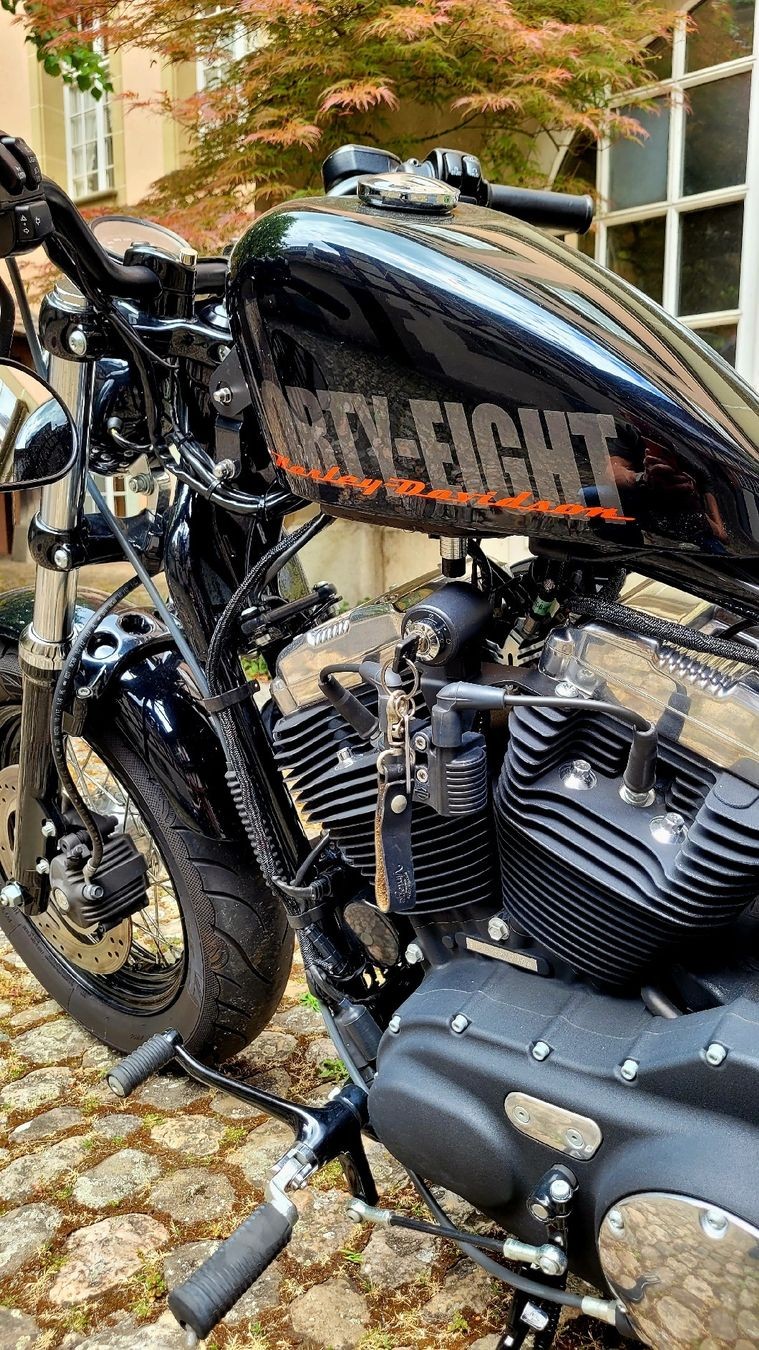 HARLEY-DAVIDSON XL 1200 X Forty Eight-image-6