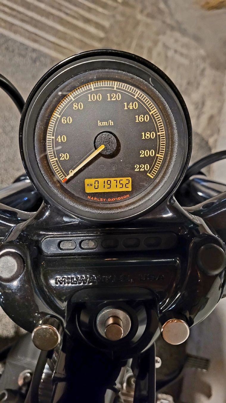 HARLEY-DAVIDSON XL 1200 X Forty Eight-image-7