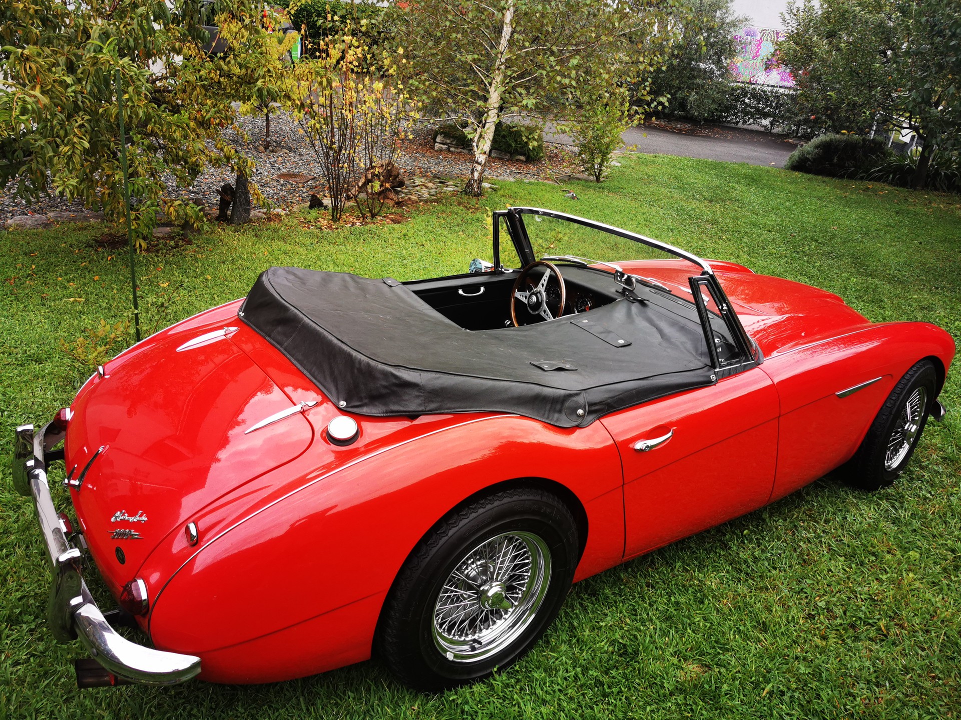 AUSTIN-HEALEY 3000 mk3-image-5