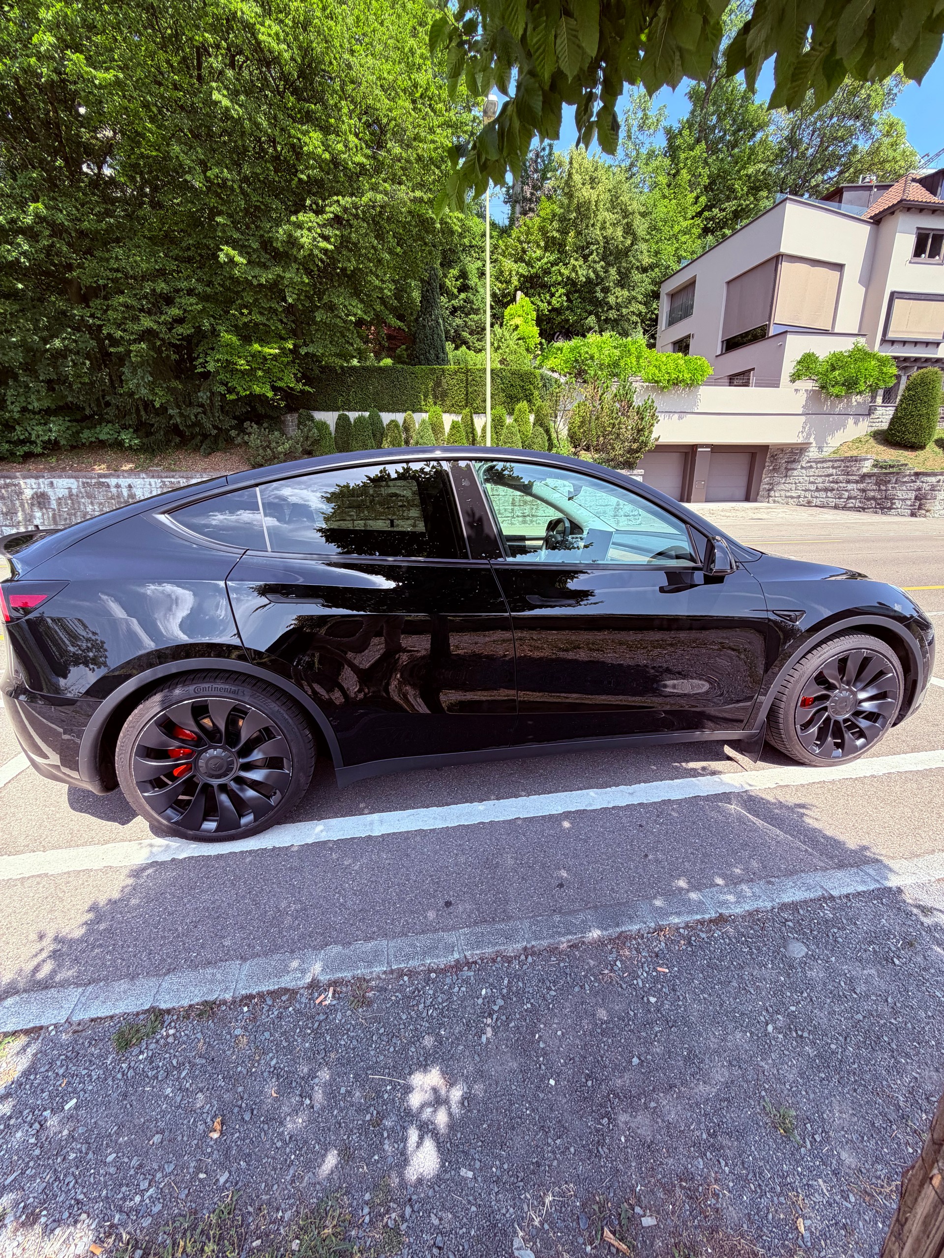 TESLA Performance D
