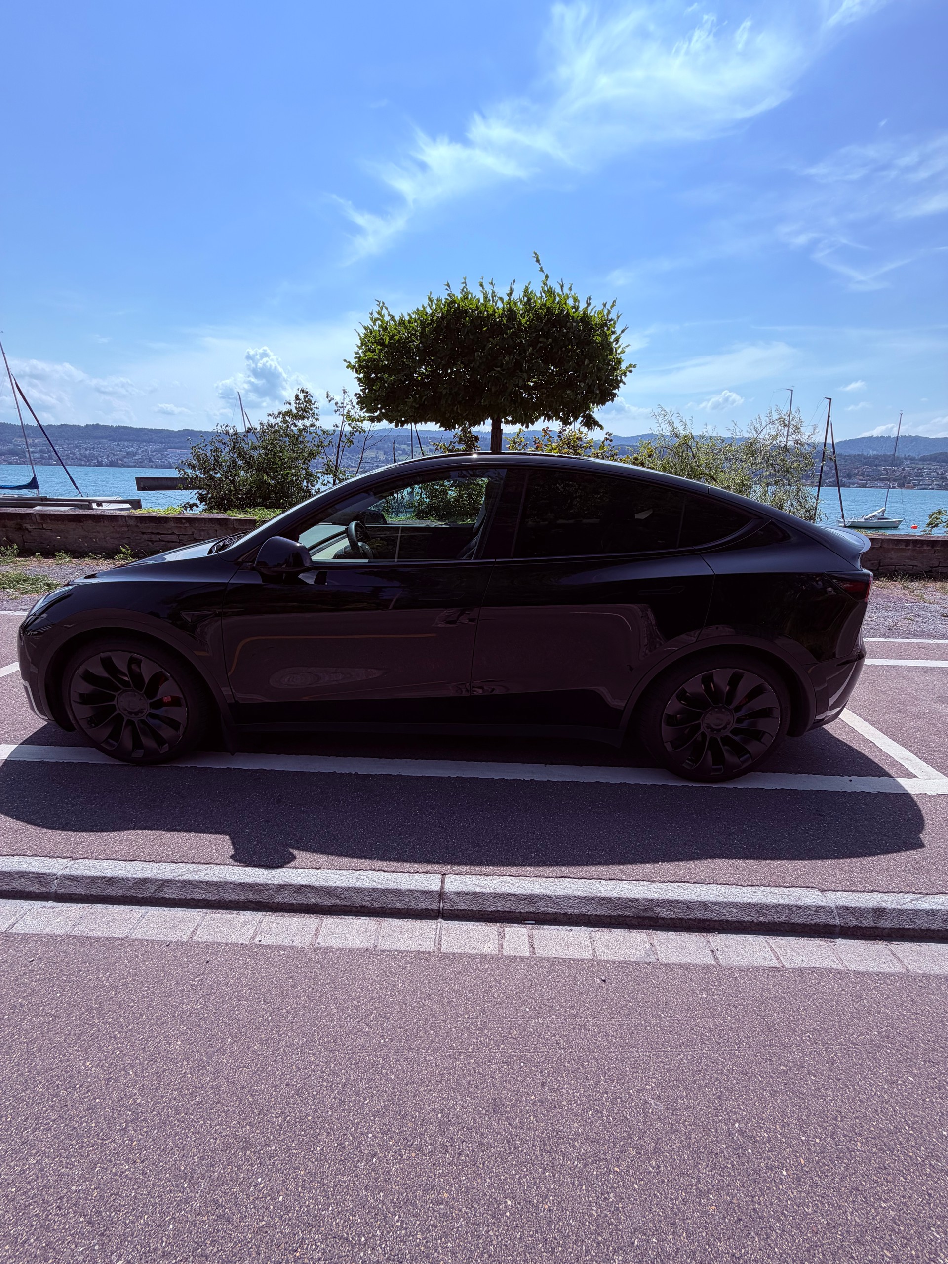 TESLA Performance D-image-4