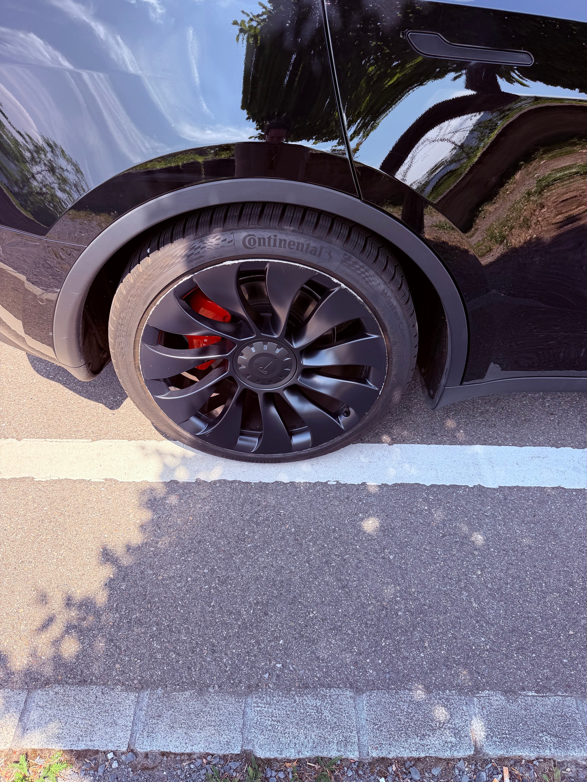 TESLA Performance D-image-6