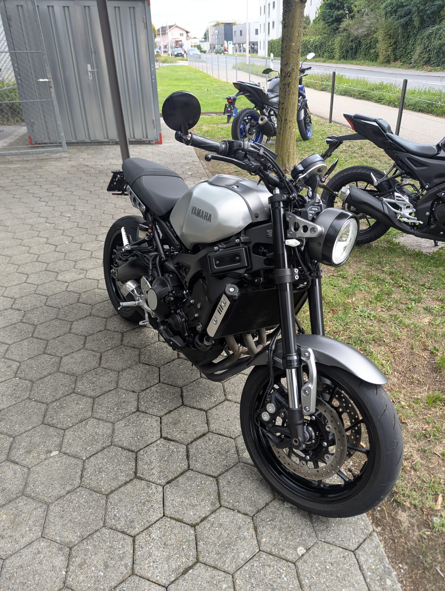 YAMAHA XSR 900-image-1