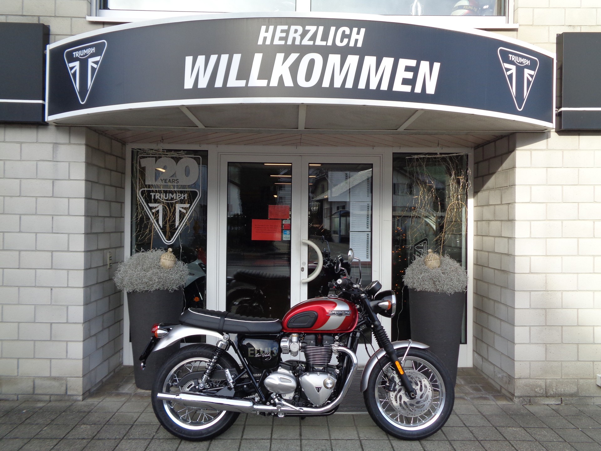 TRIUMPH Bonneville T120 Elvis Edition-image-1