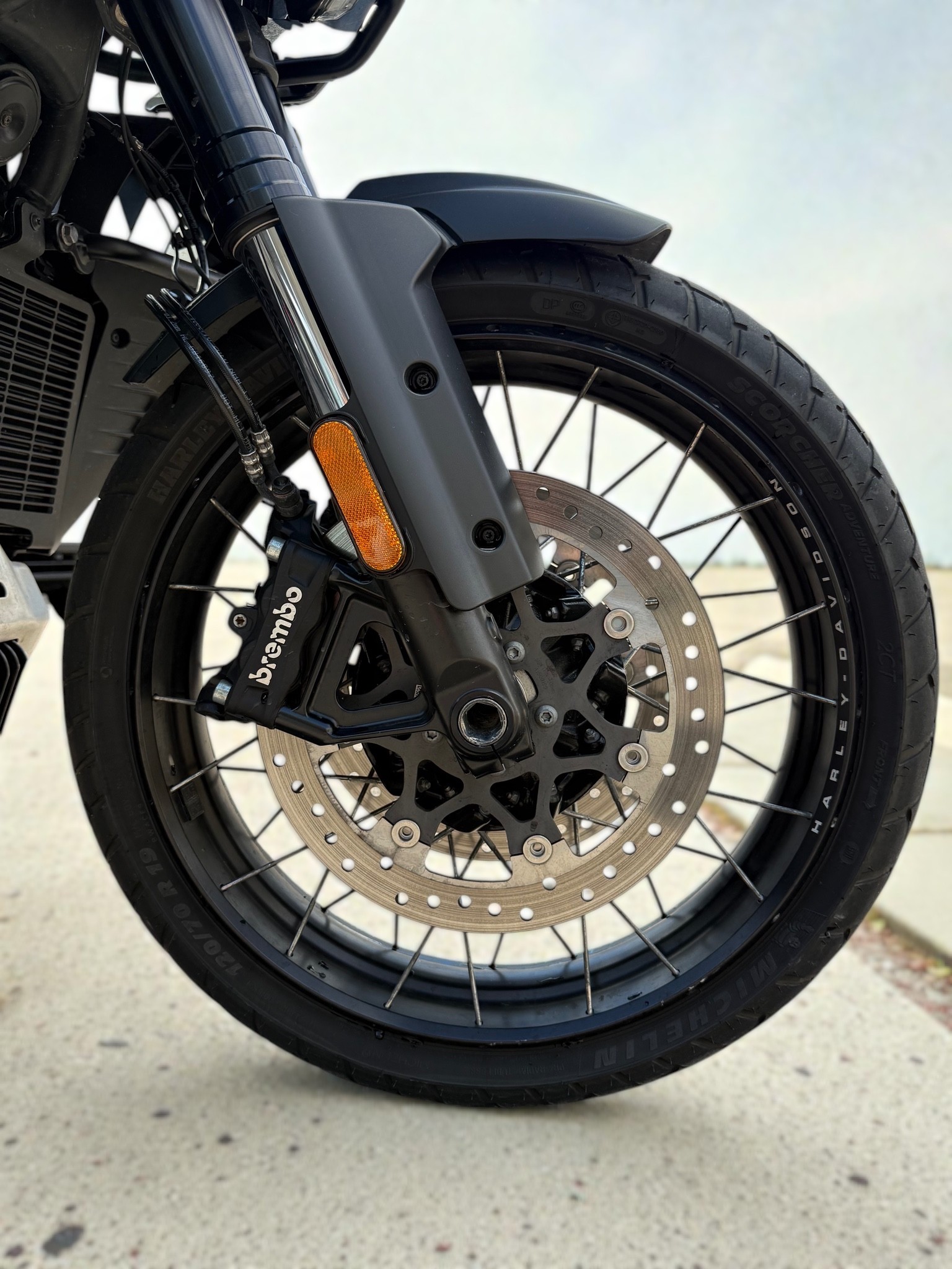 HARLEY-DAVIDSON RA Pan America 1250 Special-image-7