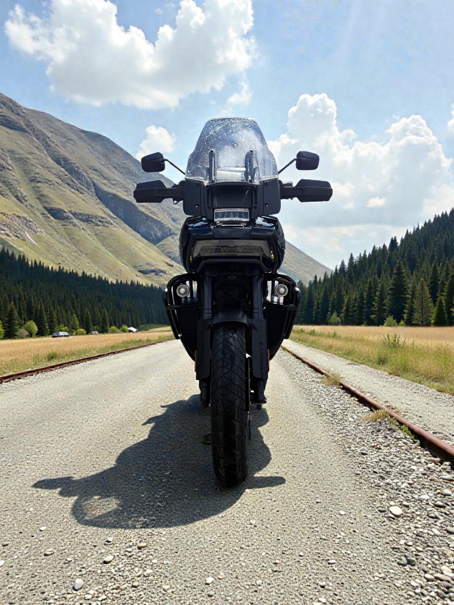 HARLEY-DAVIDSON RA Pan America 1250 Special-image-4