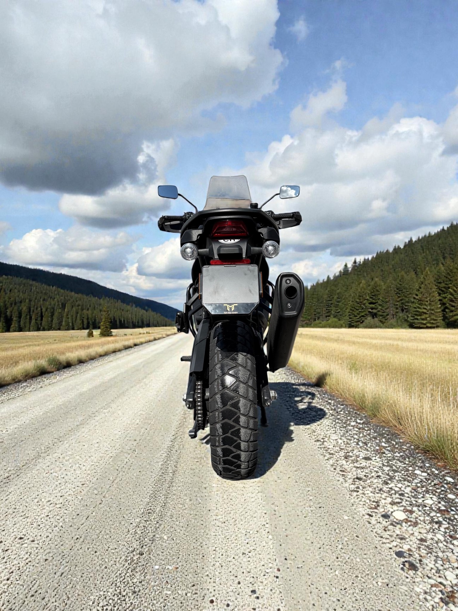 HARLEY-DAVIDSON RA Pan America 1250 Special-image-11