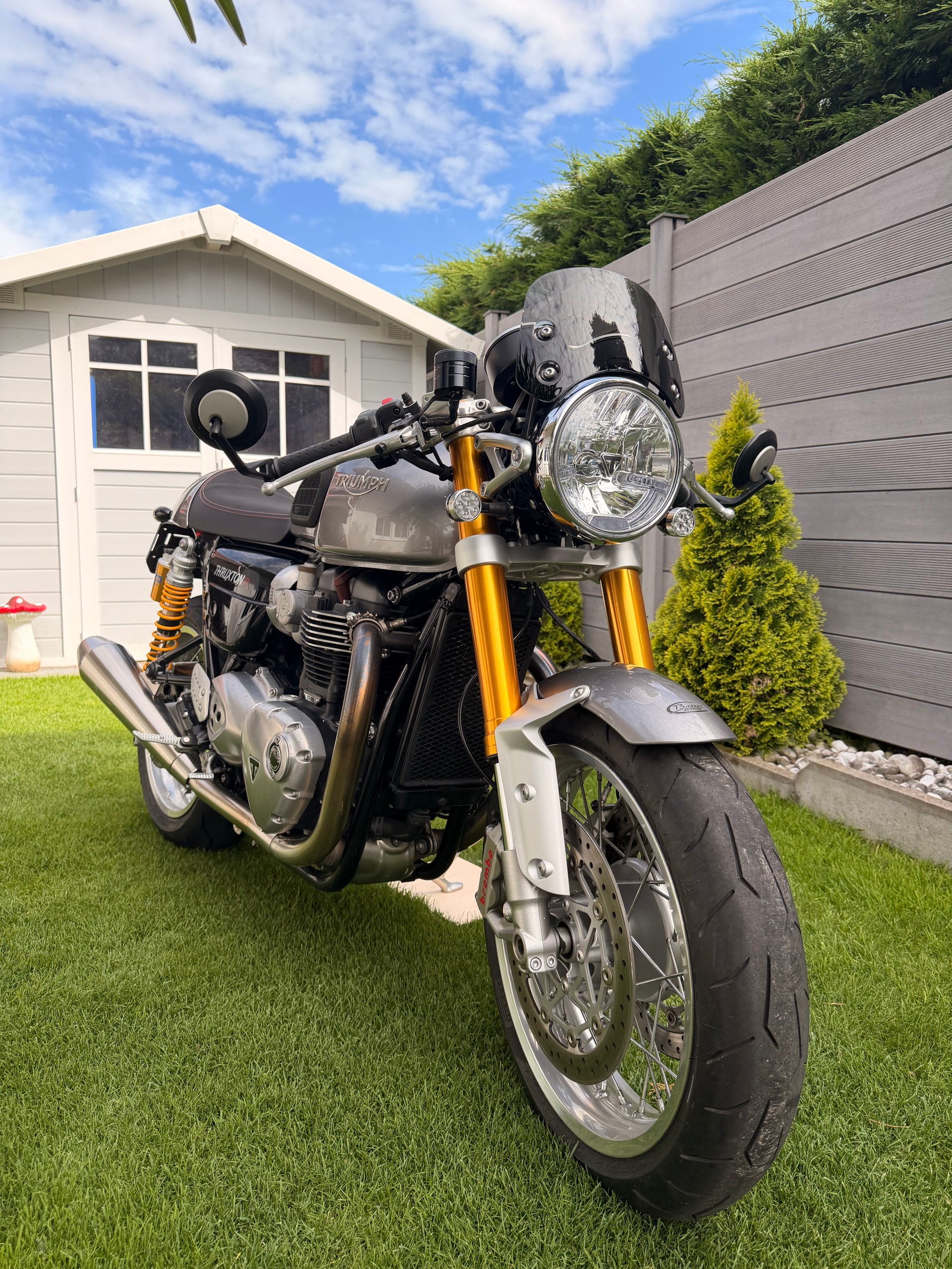 TRIUMPH R-image-5