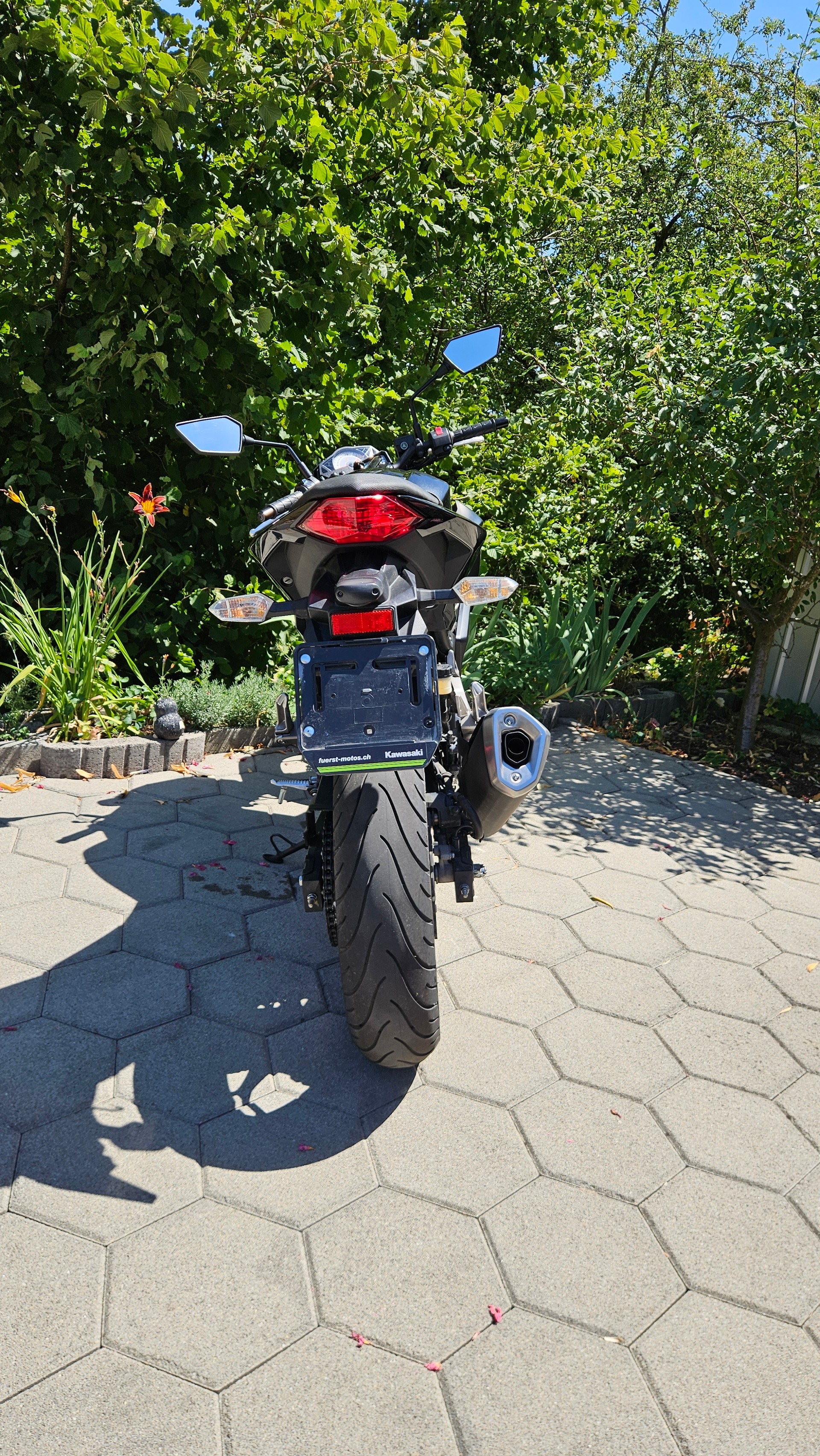 KAWASAKI Z 300 ABS-image-3
