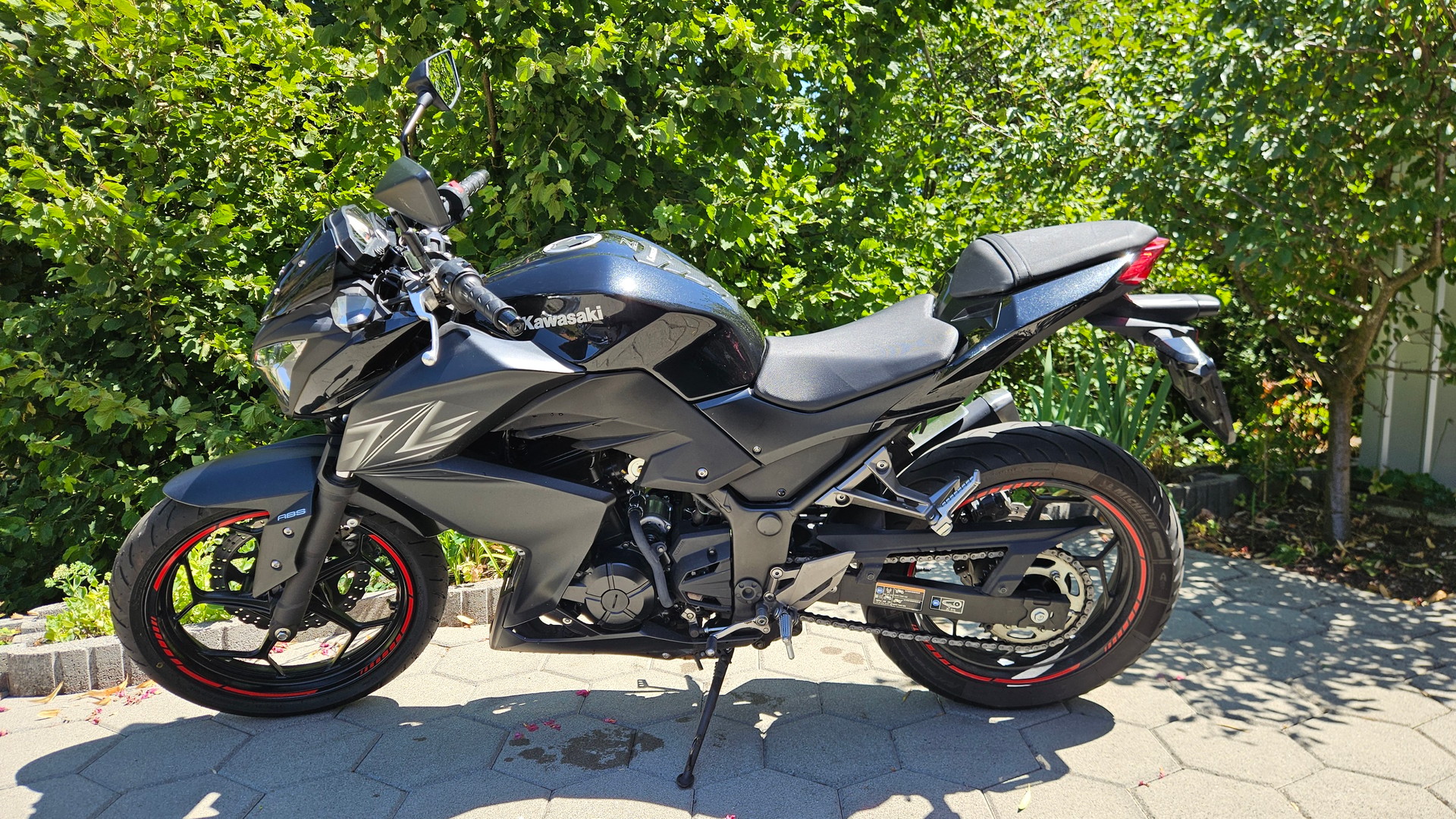 KAWASAKI Z 300 ABS-image-0