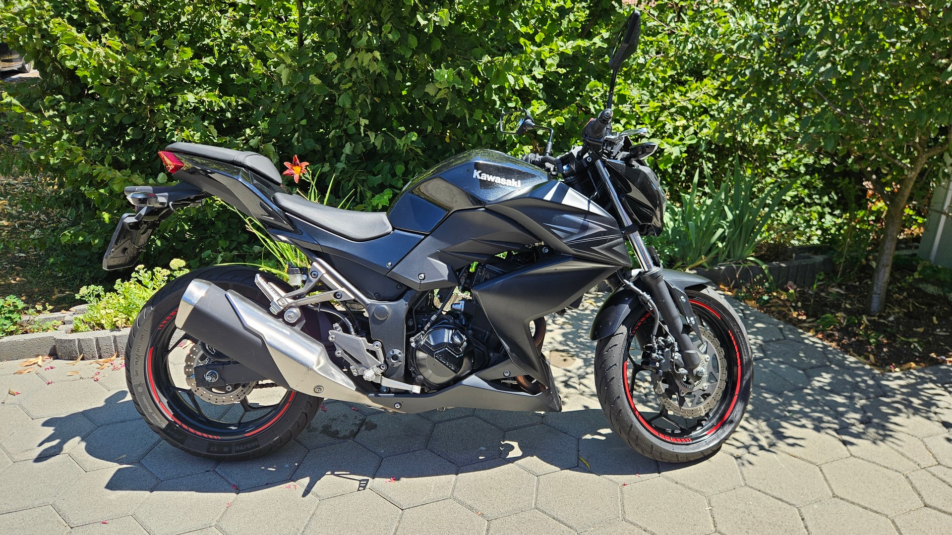 KAWASAKI Z 300 ABS-image-1
