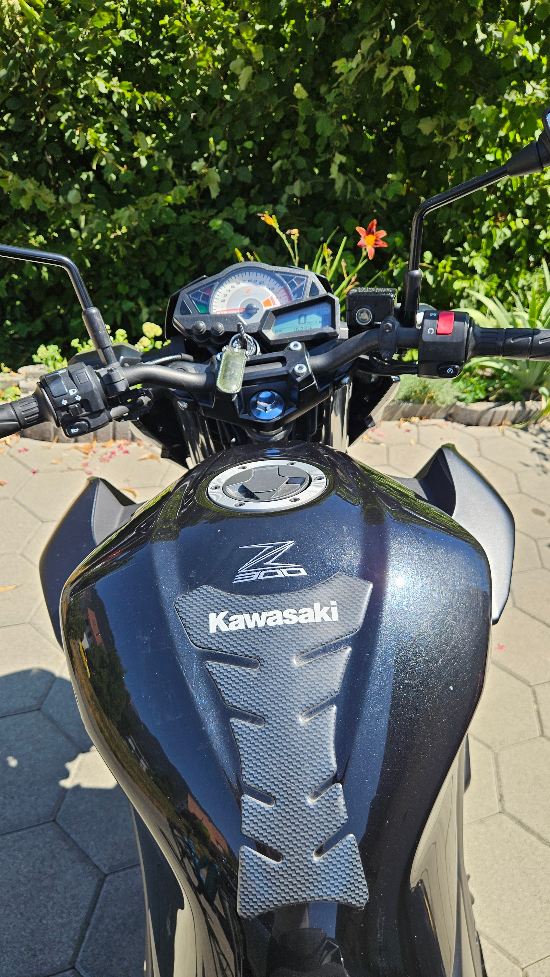 KAWASAKI Z 300 ABS-image-5
