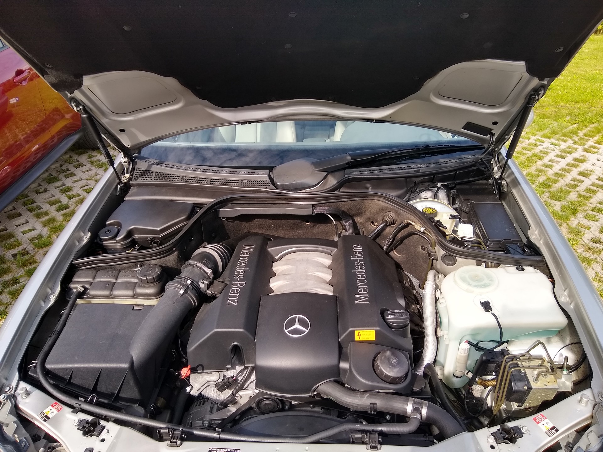 MERCEDES-BENZ CLK 320 Elégance Automatic-image-10