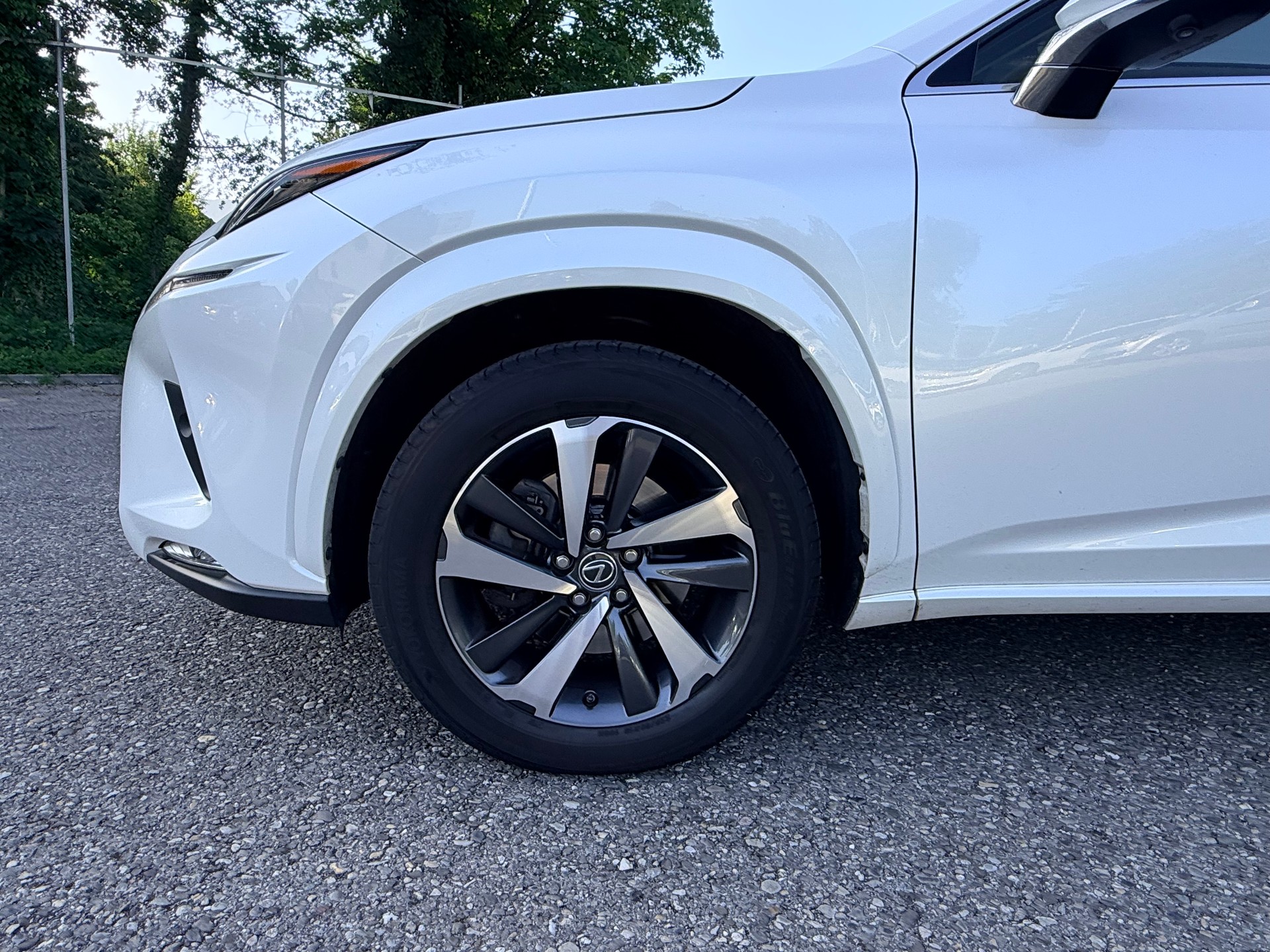 LEXUS NX 300h F-Sport E-Four Automatic-image-11