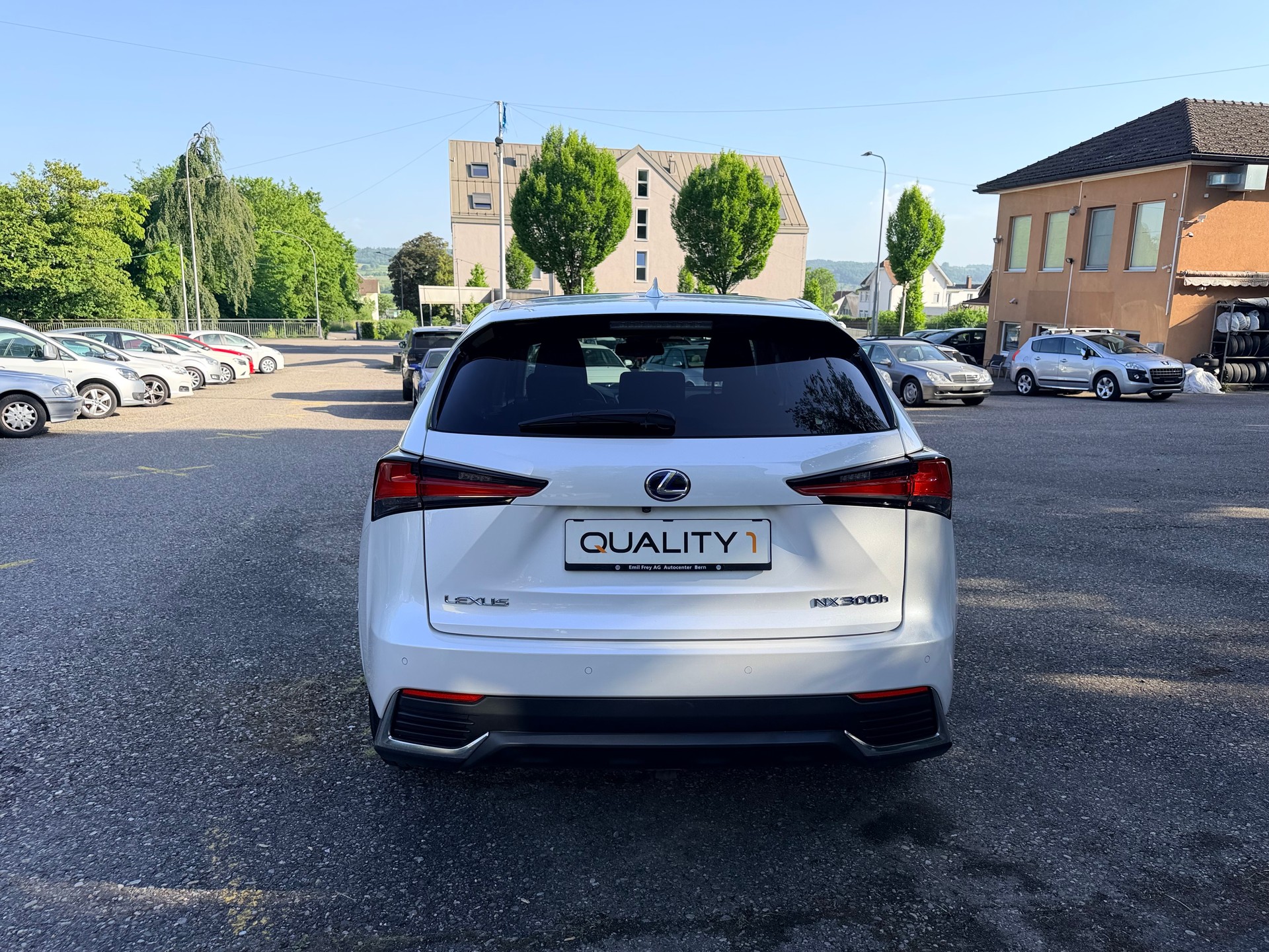 LEXUS NX 300h F-Sport E-Four Automatic-image-10