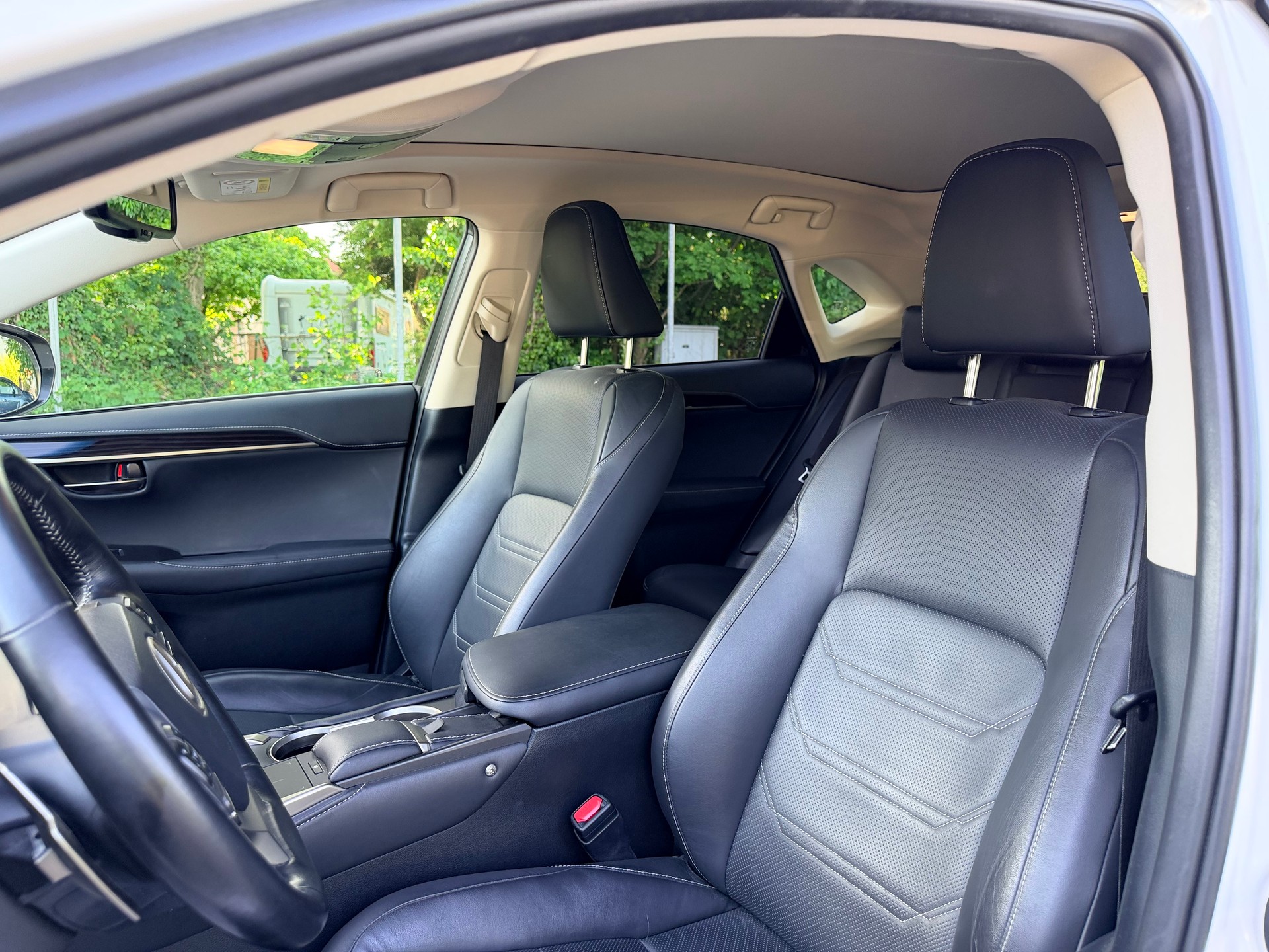 LEXUS NX 300h F-Sport E-Four Automatic-image-18