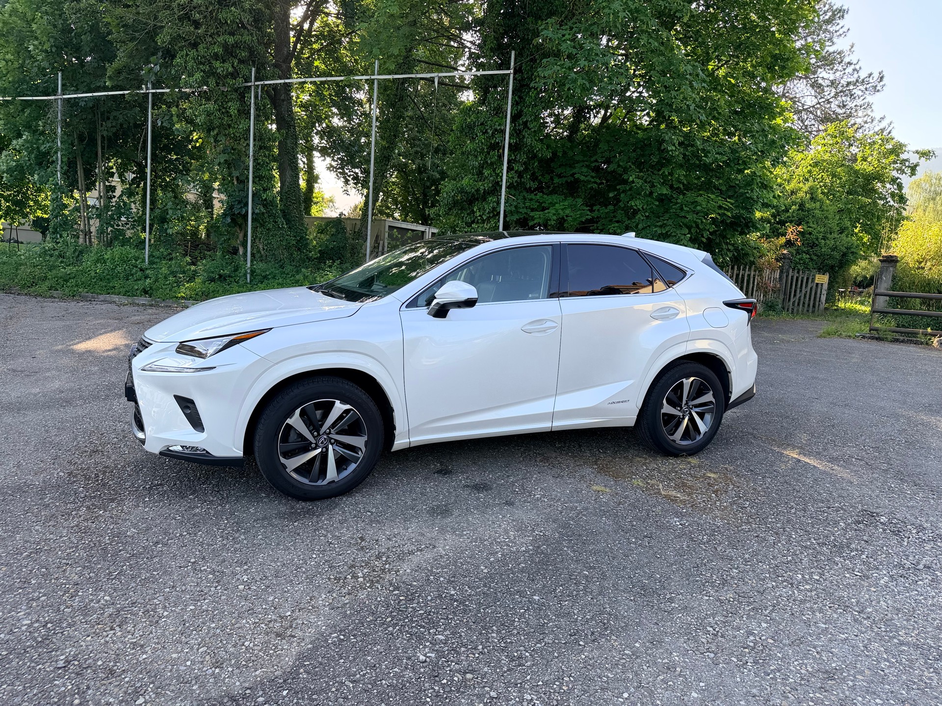 LEXUS NX 300h F-Sport E-Four Automatic-image-4