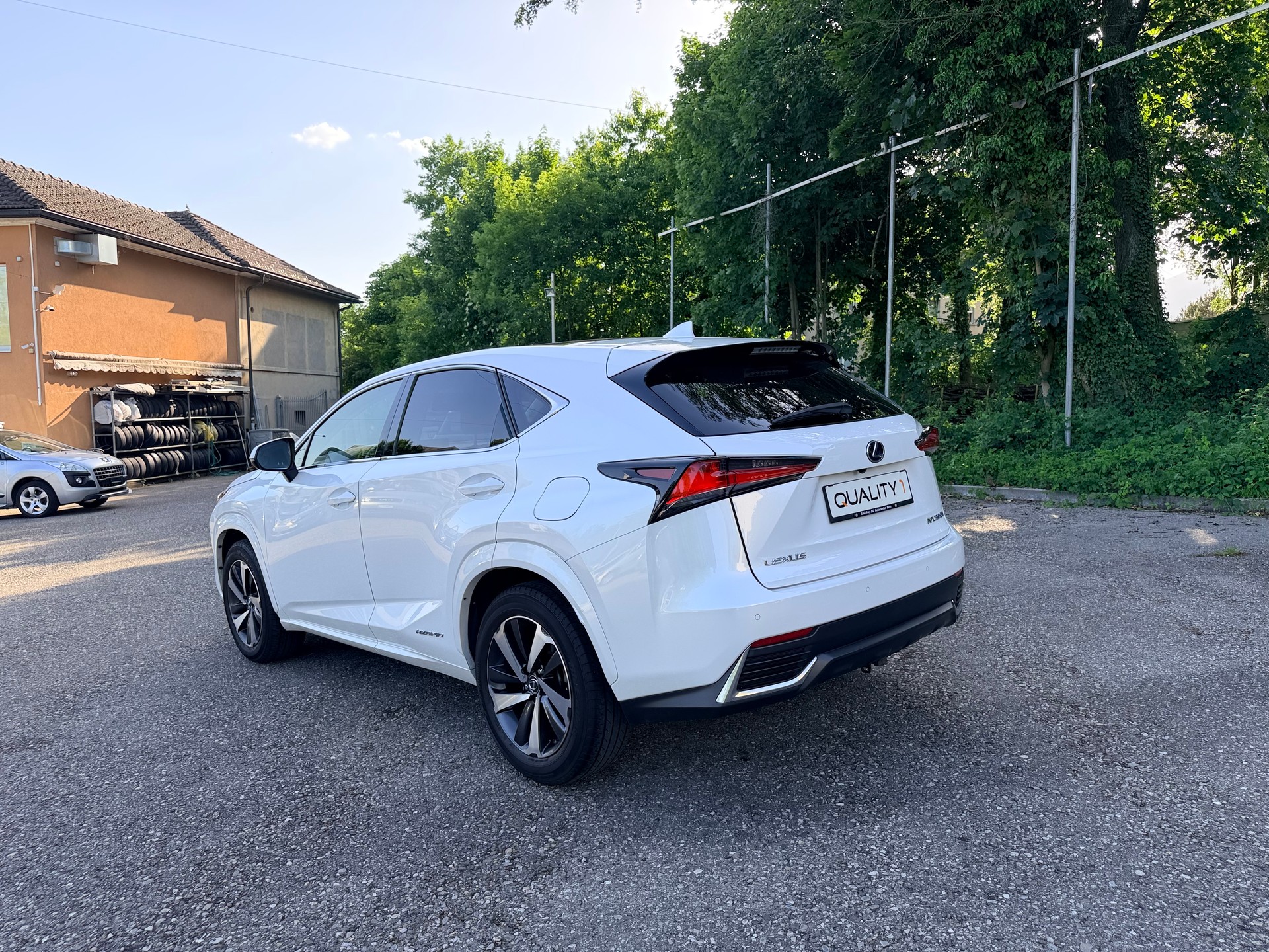 LEXUS NX 300h F-Sport E-Four Automatic-image-13