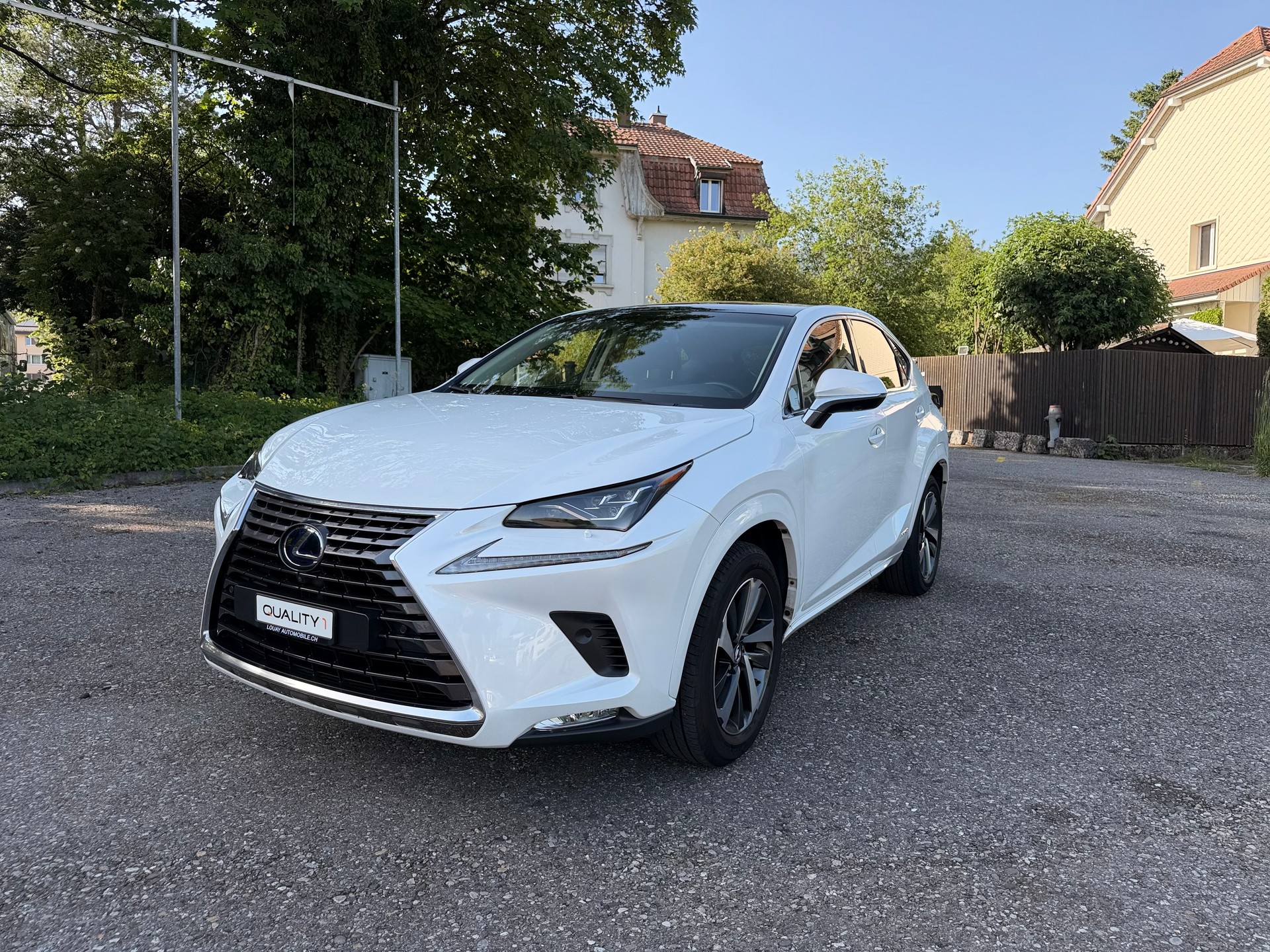 LEXUS NX 300h F-Sport E-Four Automatic-showroom-element-1