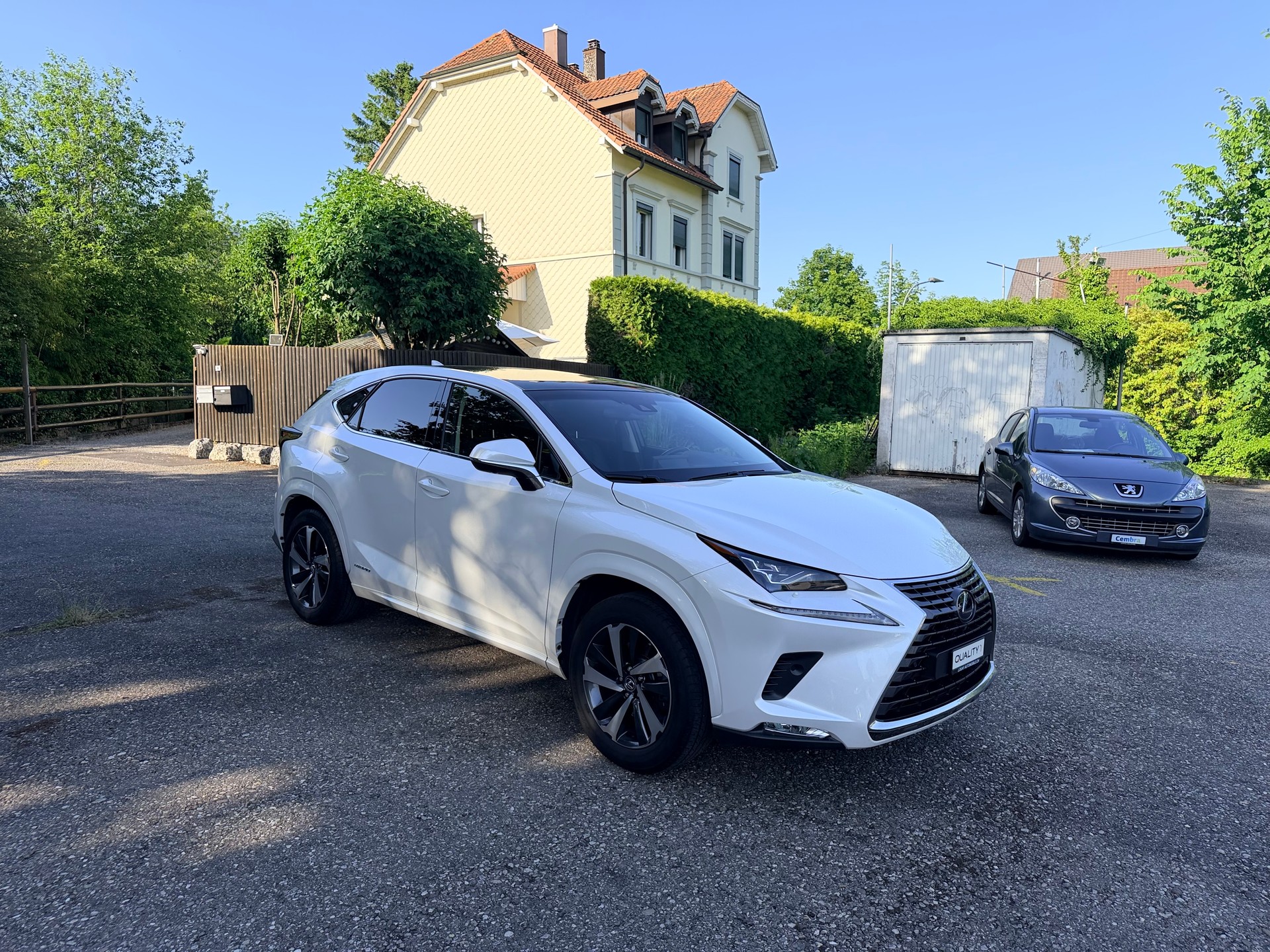 LEXUS NX 300h F-Sport E-Four Automatic-image-6