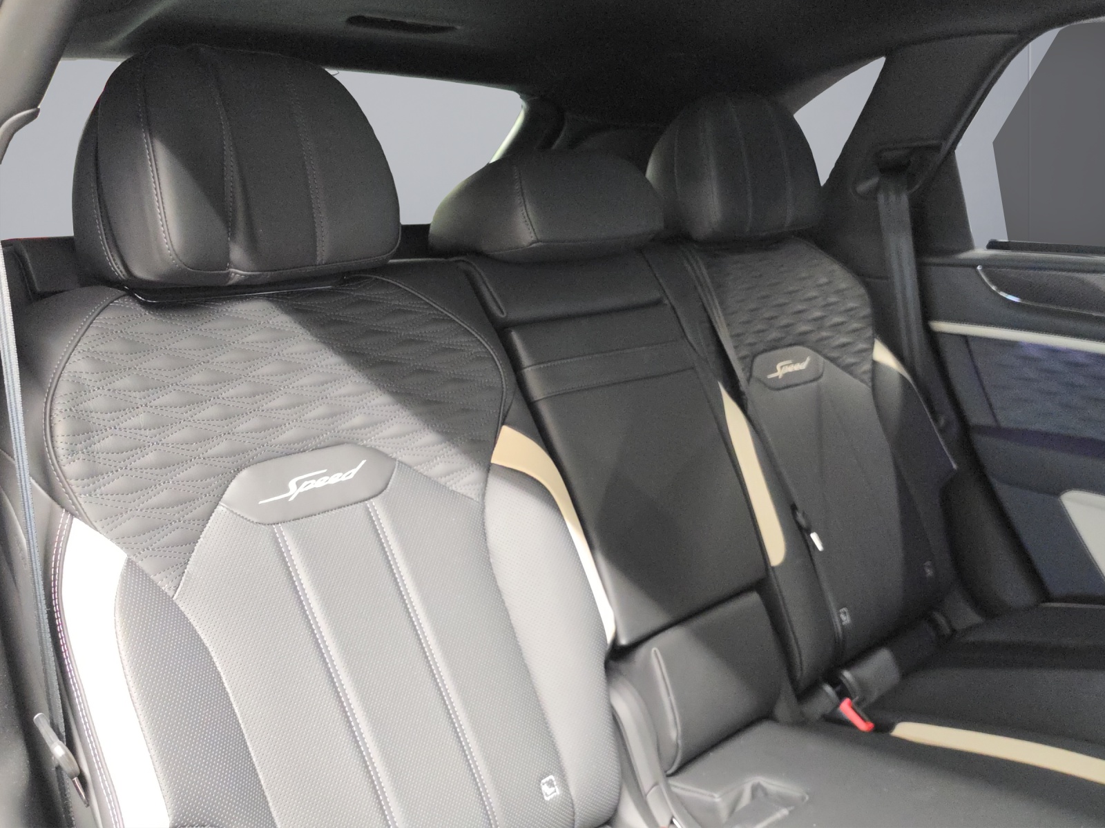 BENTLEY SPEED V8-image-9