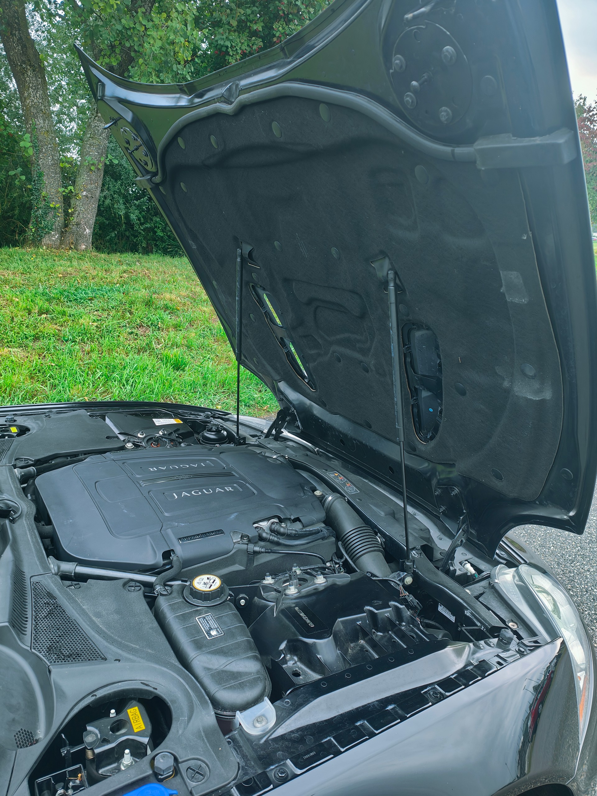 JAGUAR XKR 5.0 V8 SC Automatic-image-13