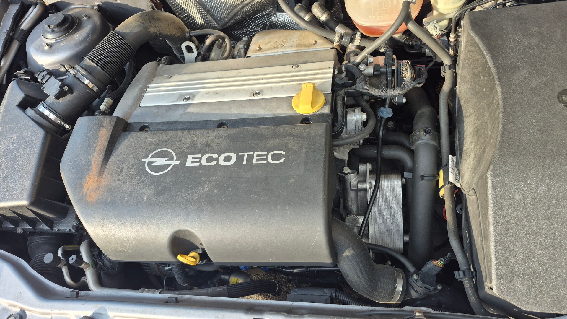 OPEL Signum 2.0 Turbo Elegance-image-9
