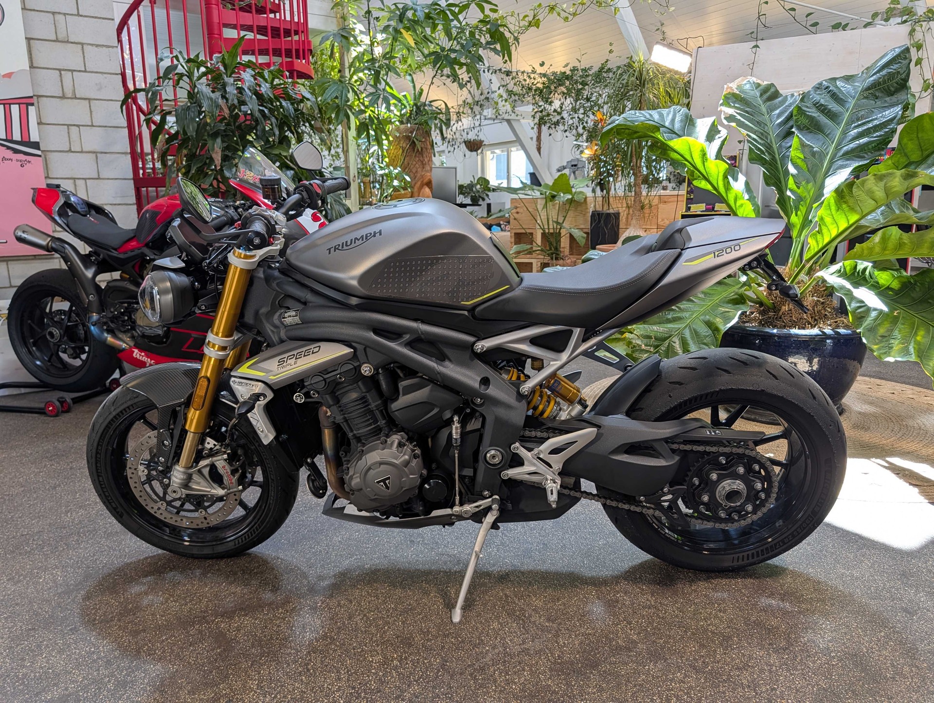 TRIUMPH Speed Triple RS-image-2