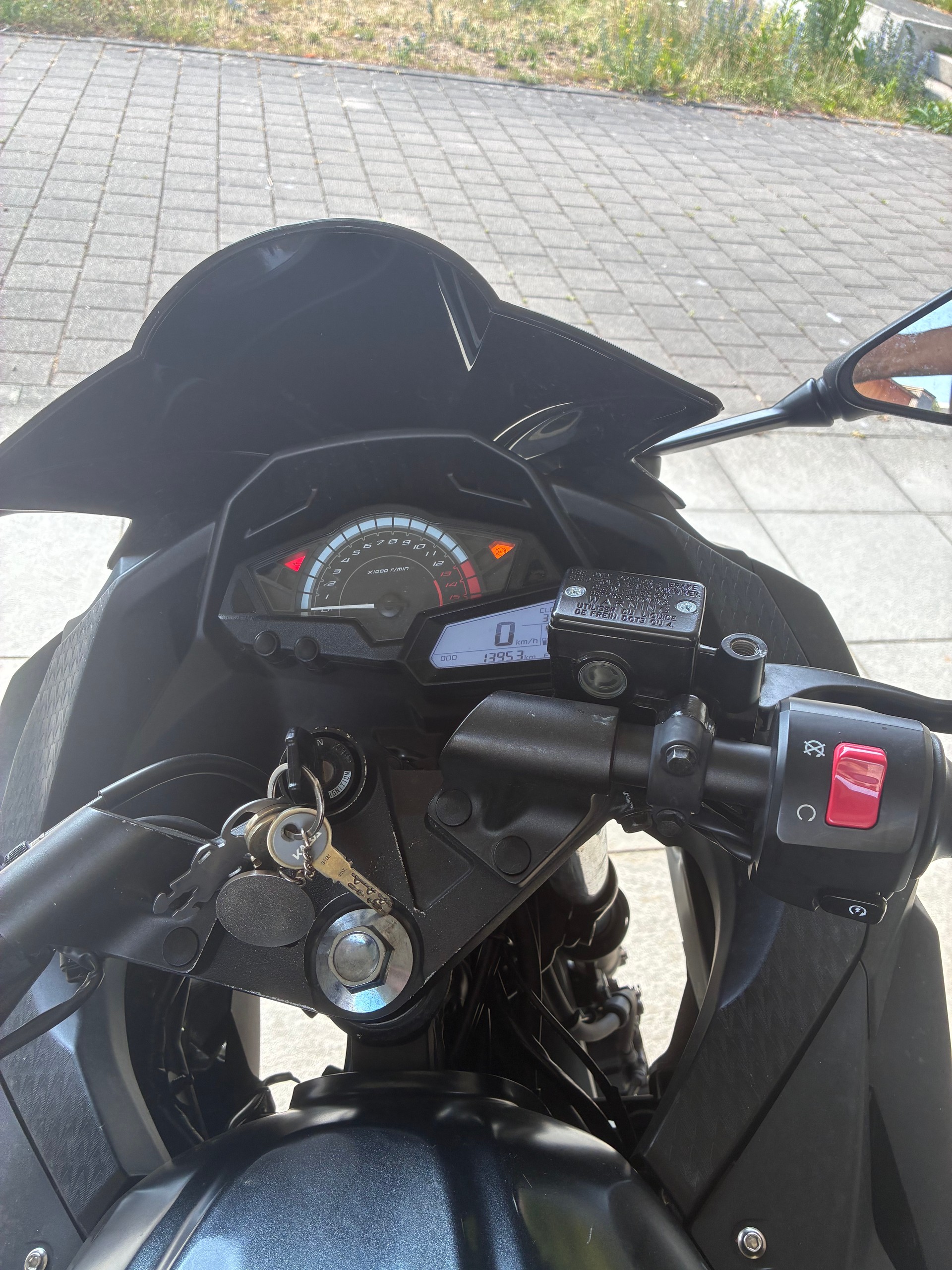 KAWASAKI Ninja 300 ABS-image-5