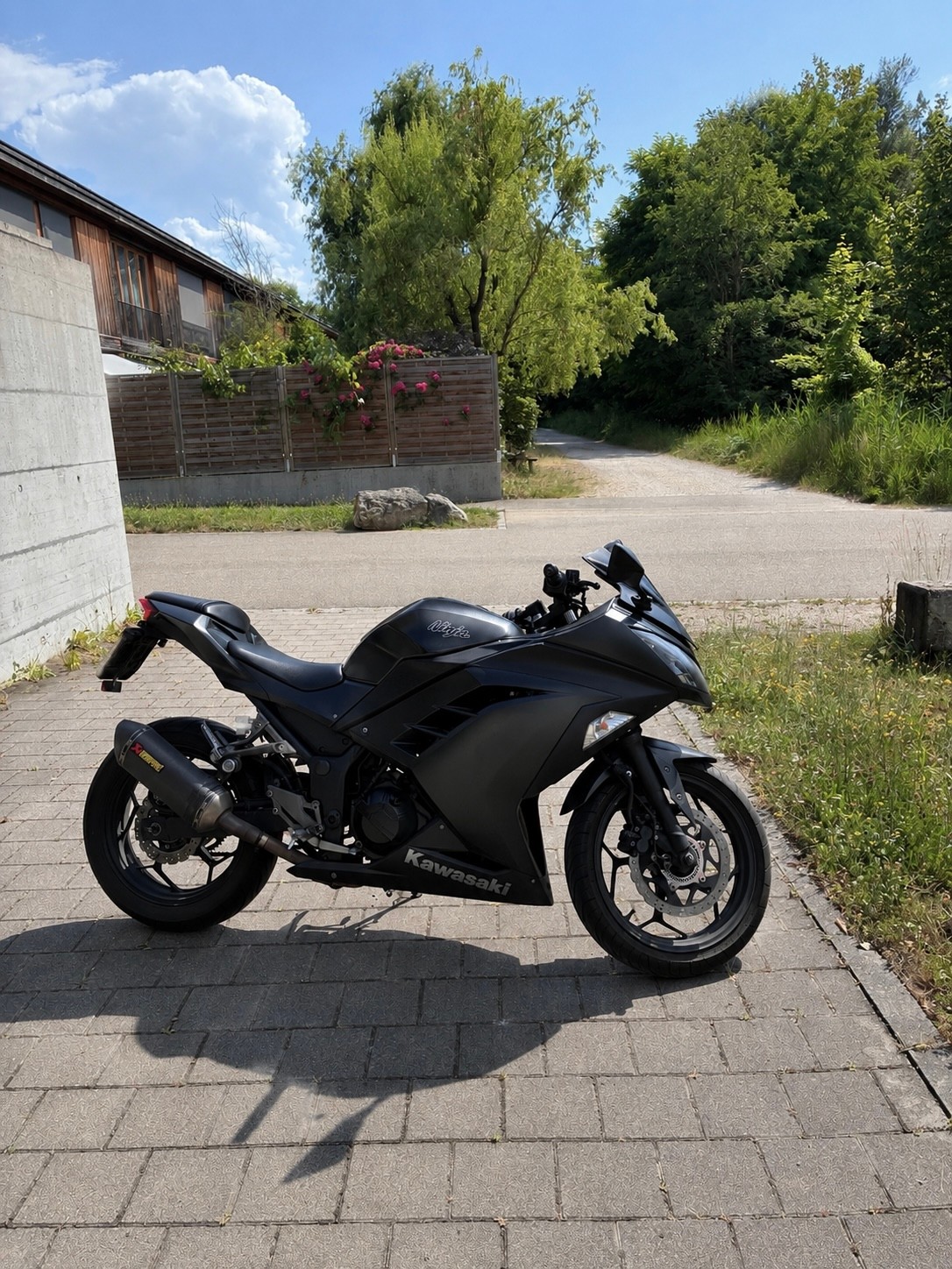 KAWASAKI Ninja 300 ABS-image-2
