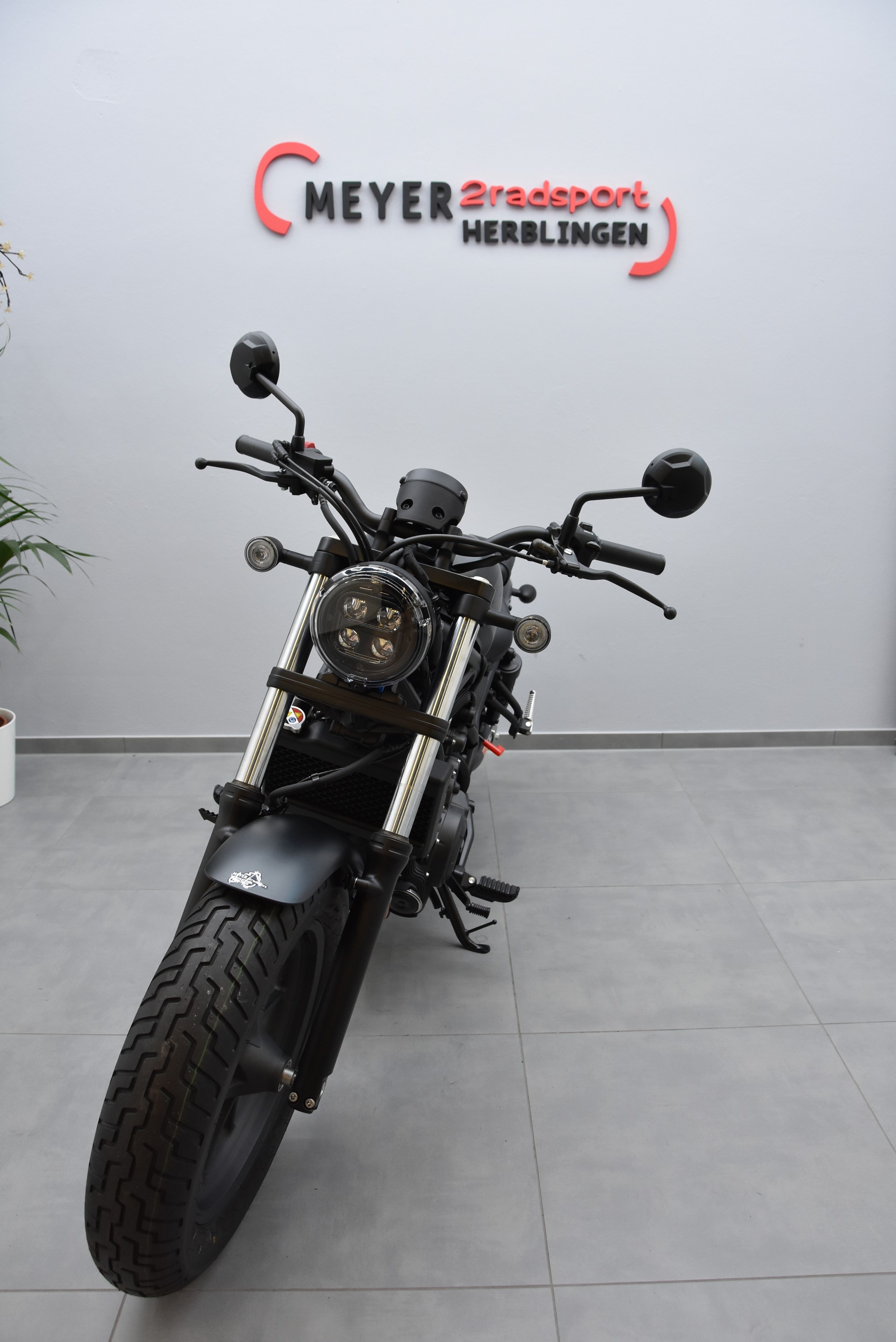 HONDA CMX500 Rebel-showroom-element-2