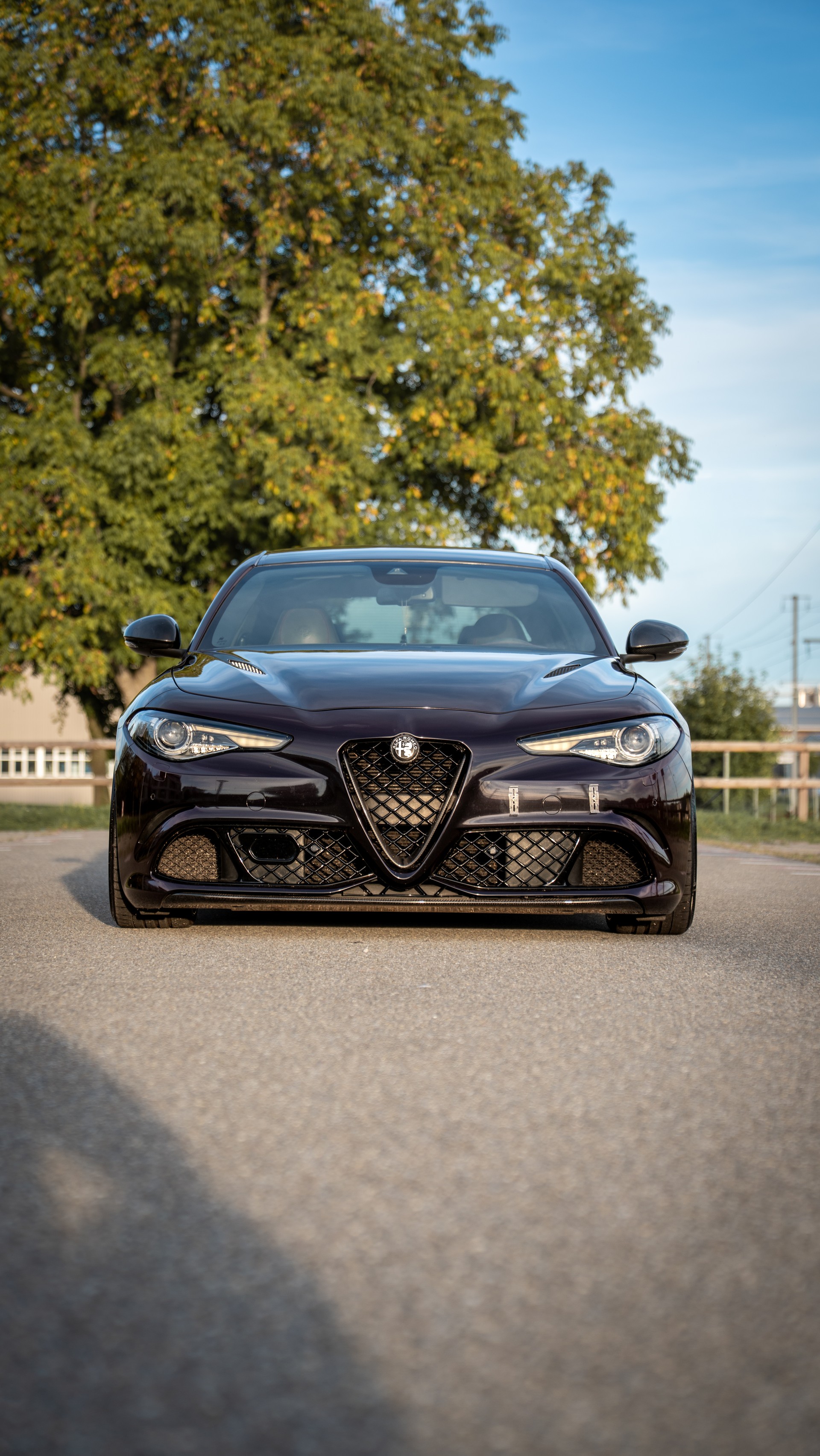 ALFA ROMEO 2.9 V6 Biturbo Quadrifoglio