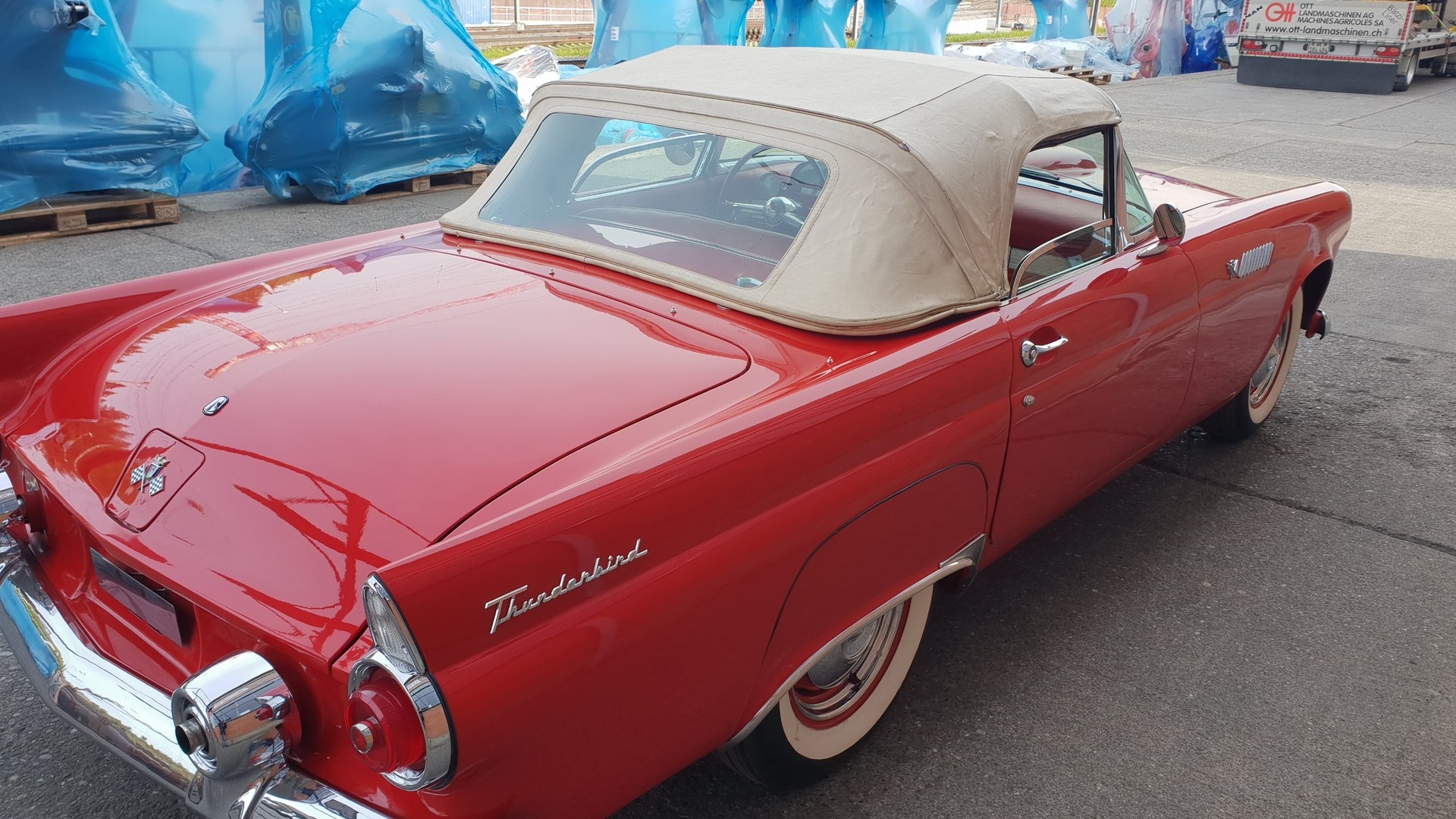 FORD Thunderbird 1955 Veteran-image-13