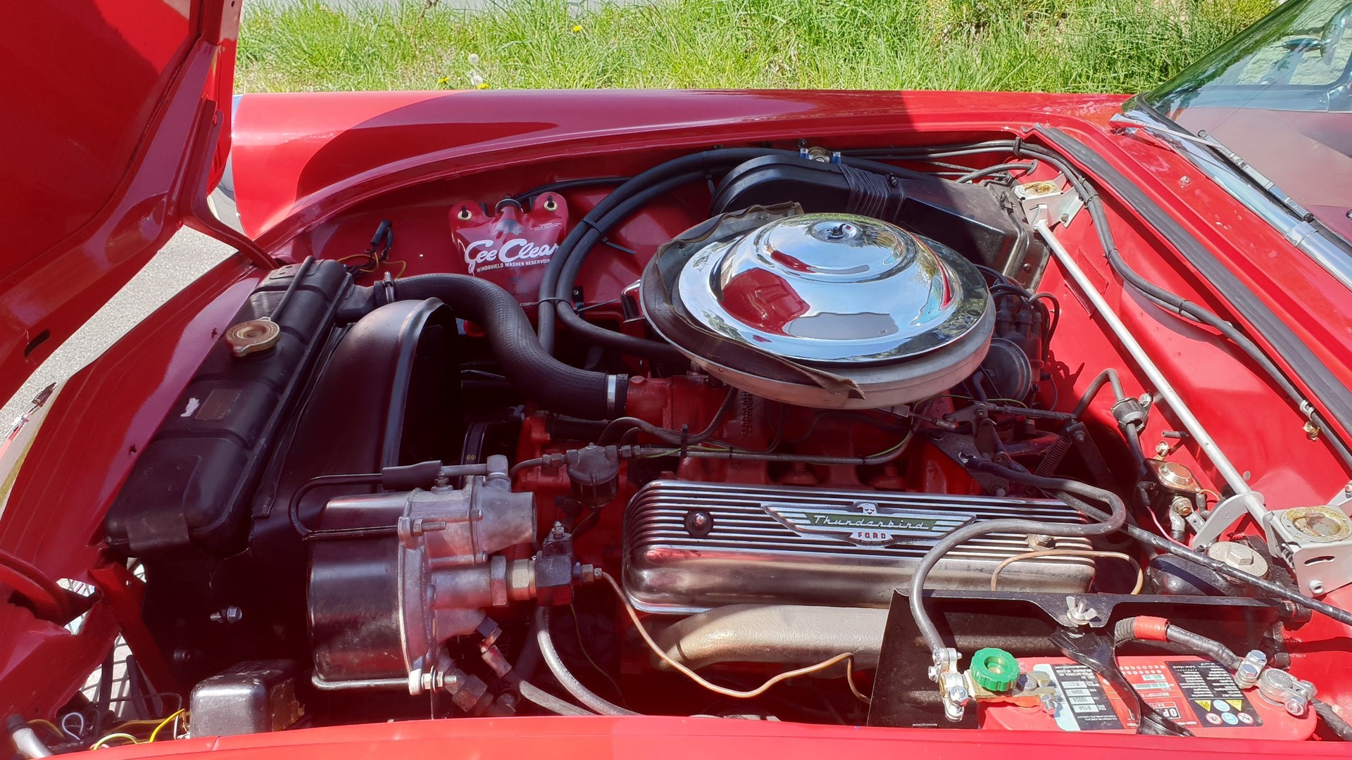 FORD Thunderbird 1955 Veteran-image-10
