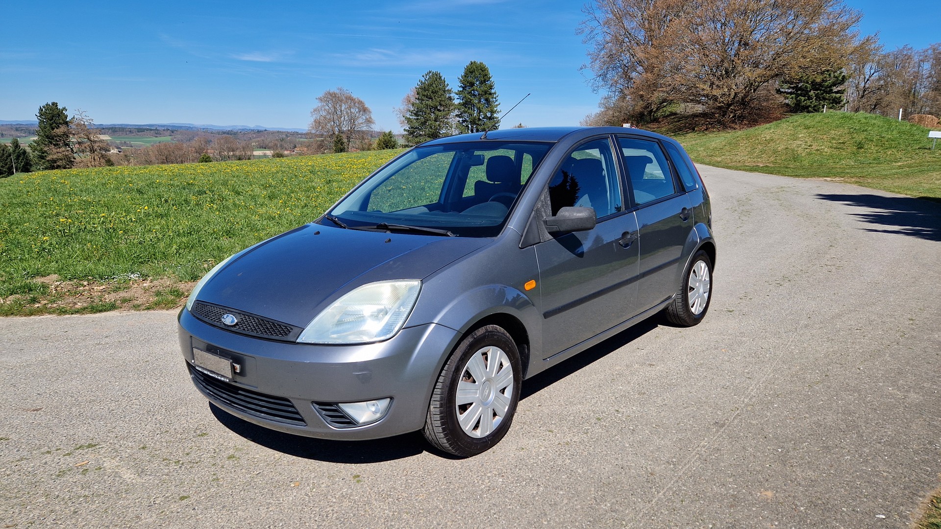 FORD Fiesta 1.6 16V Trend