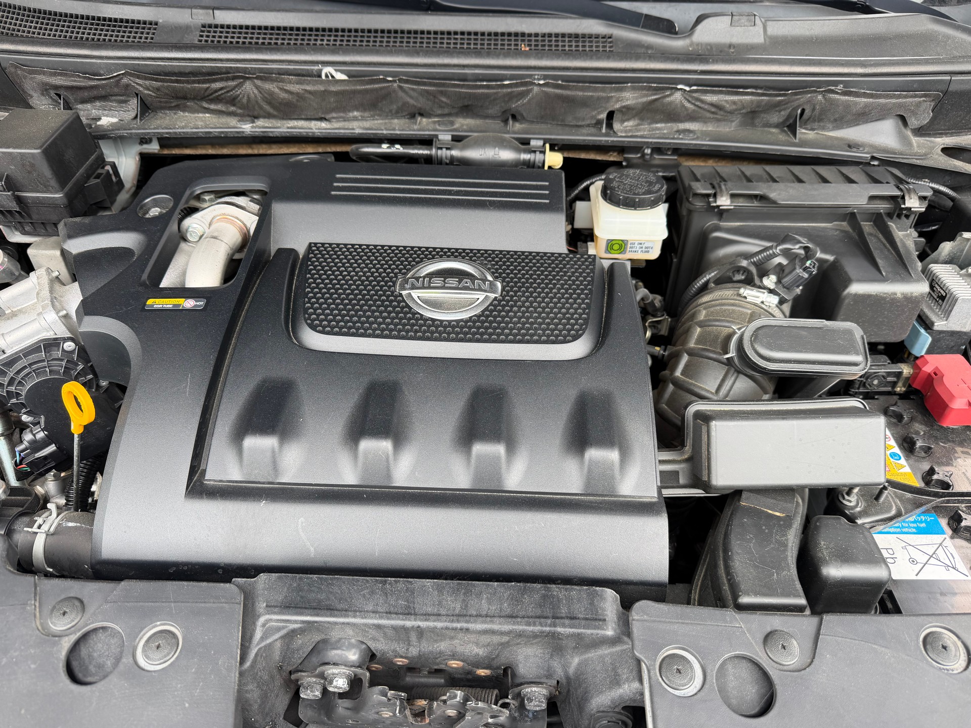 NISSAN 2.5 dCi 4x4 Executive Swiss Ed-image-5