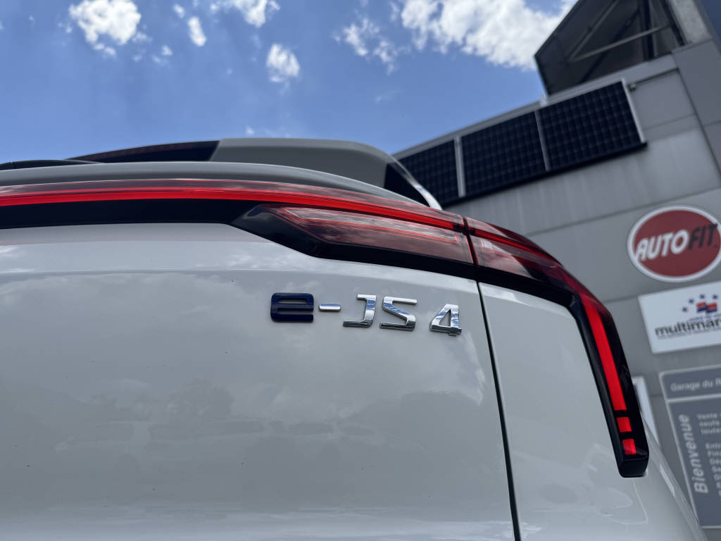 JAC e-JS4 Electric-image-18