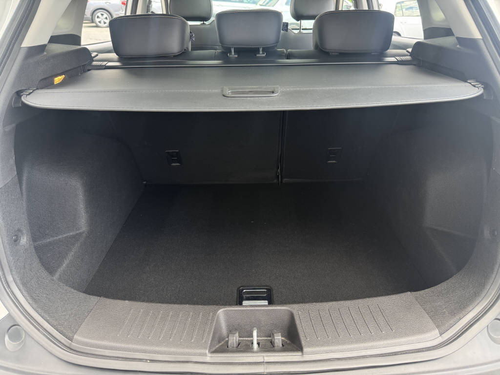 JAC e-JS4 Electric-image-14