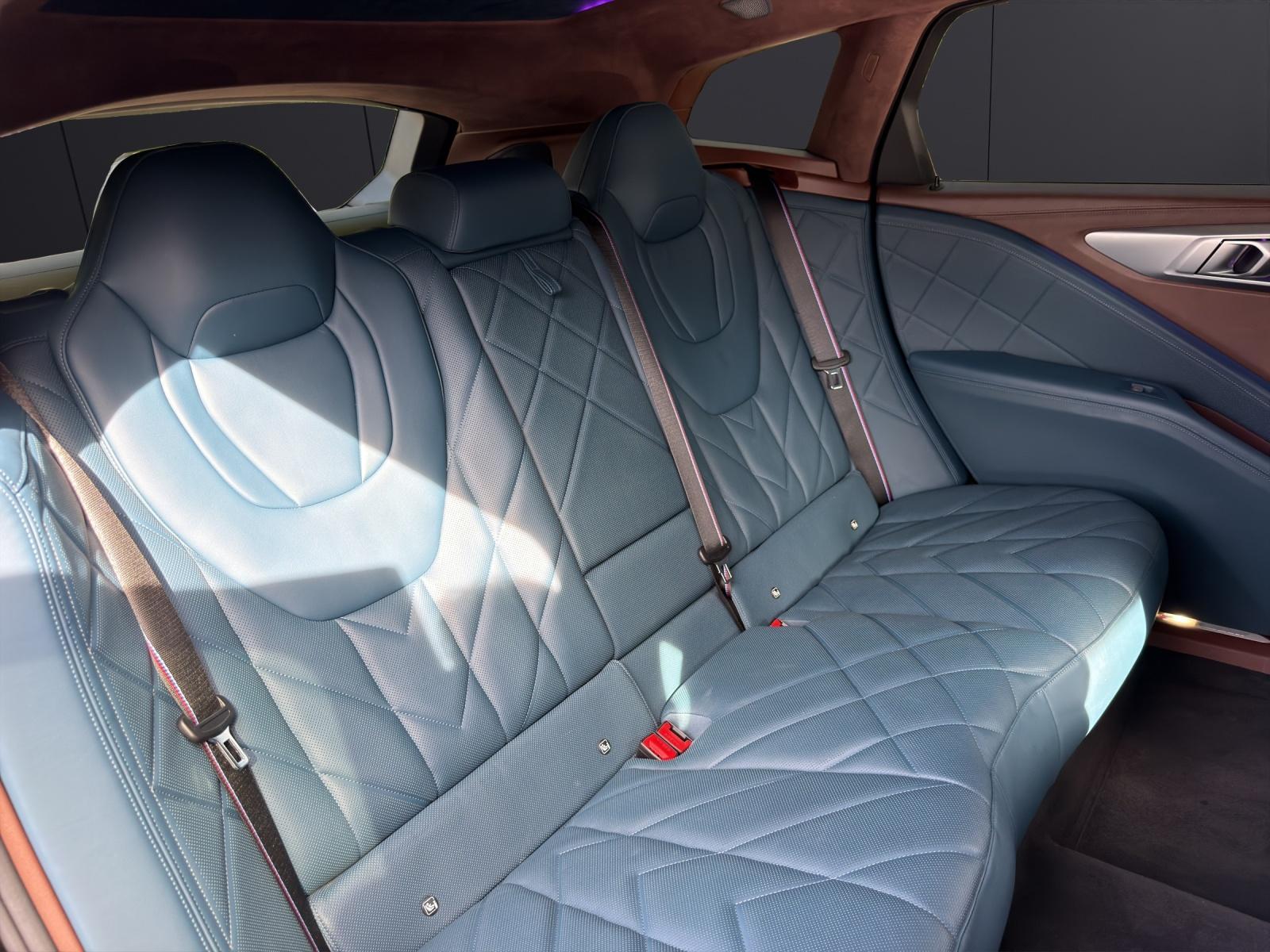 BMW XM G09 Plug-in Hybrid-image-13